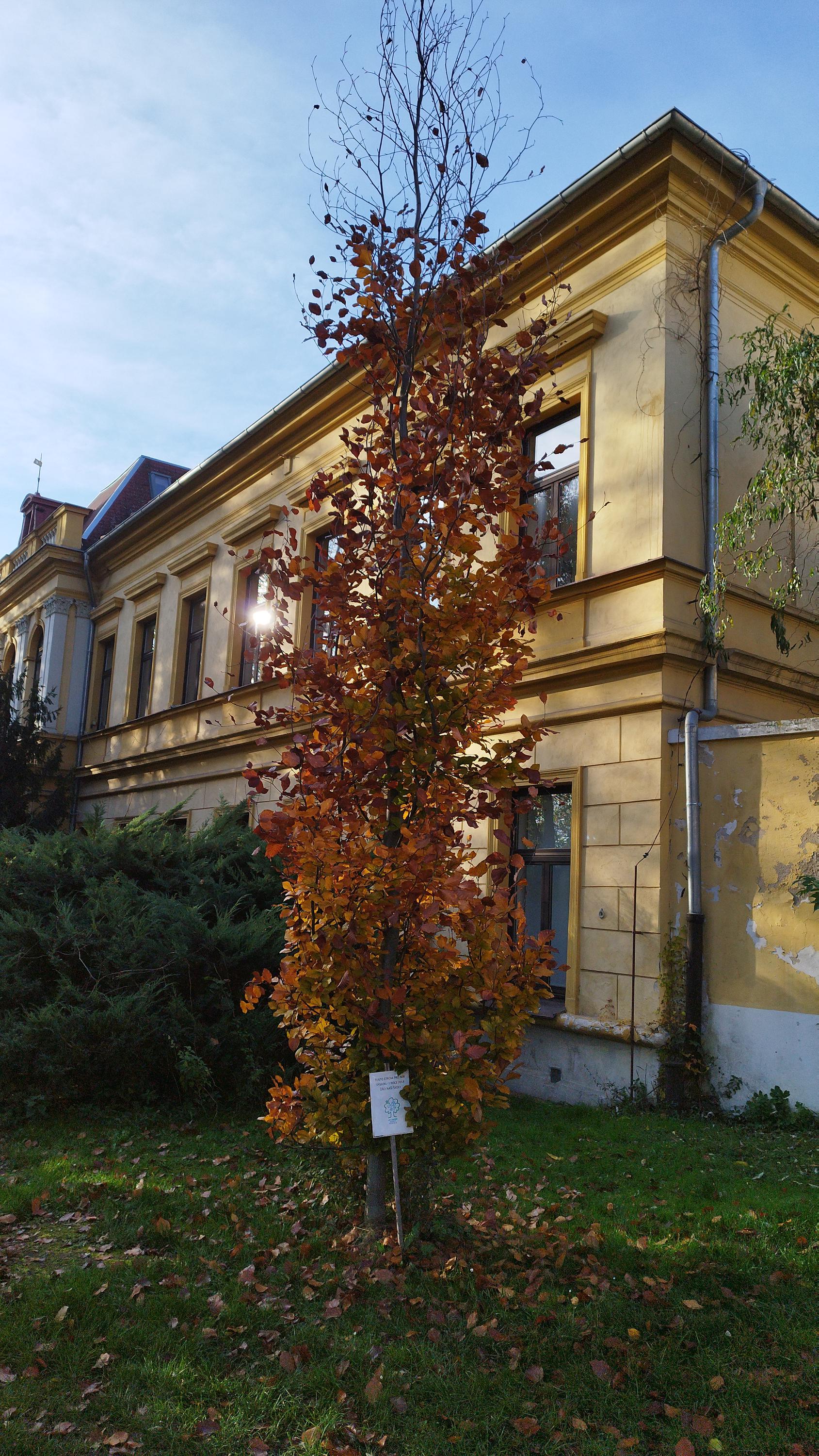 ZŠ, Praha 10, nám. Bratří Jandusů foto 6