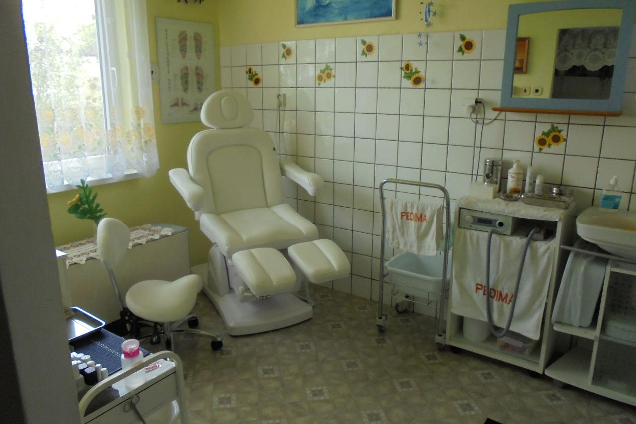 Pedima - Irena Majerová