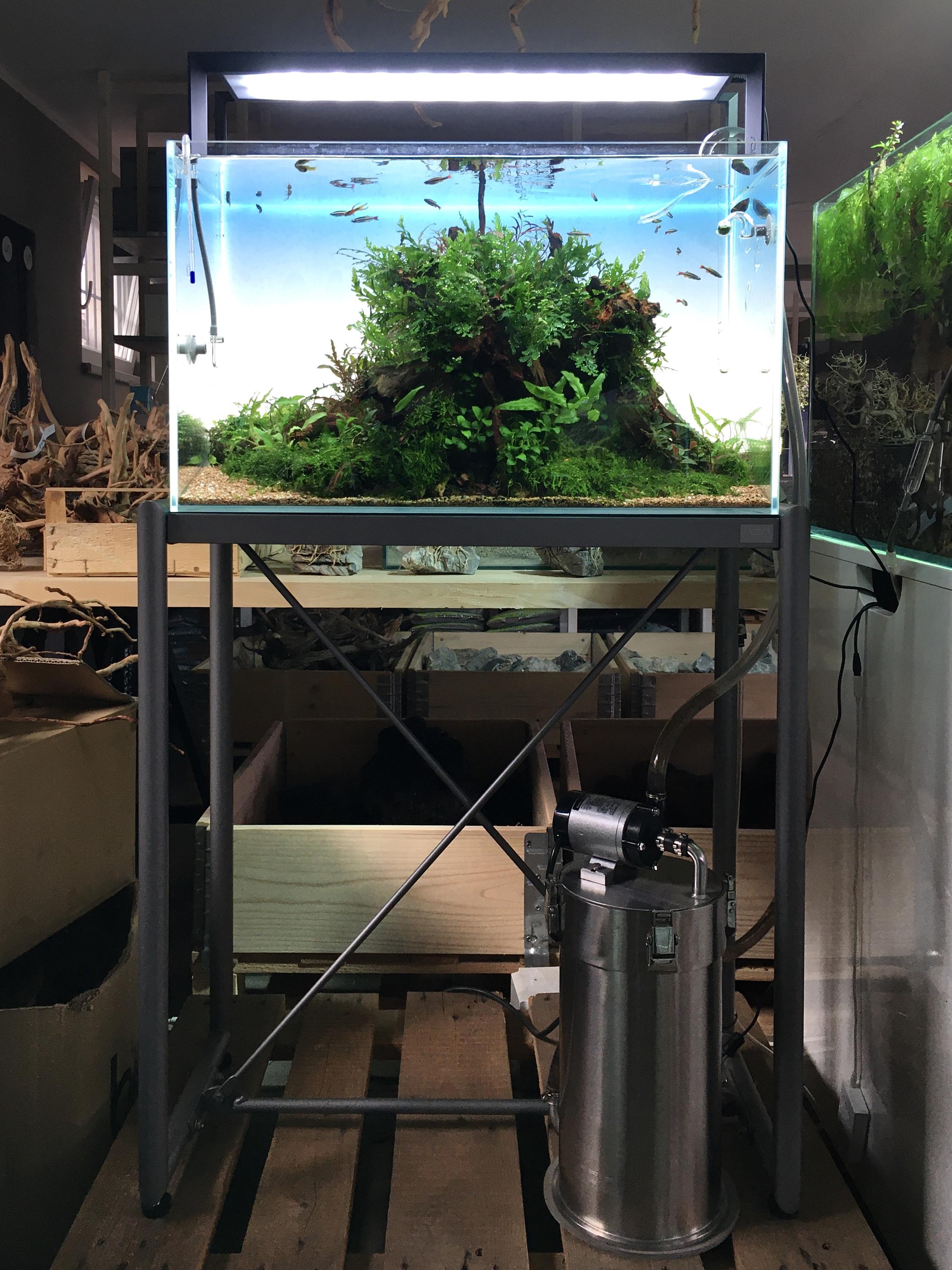 Akvaria-aquascape.cz foto 6