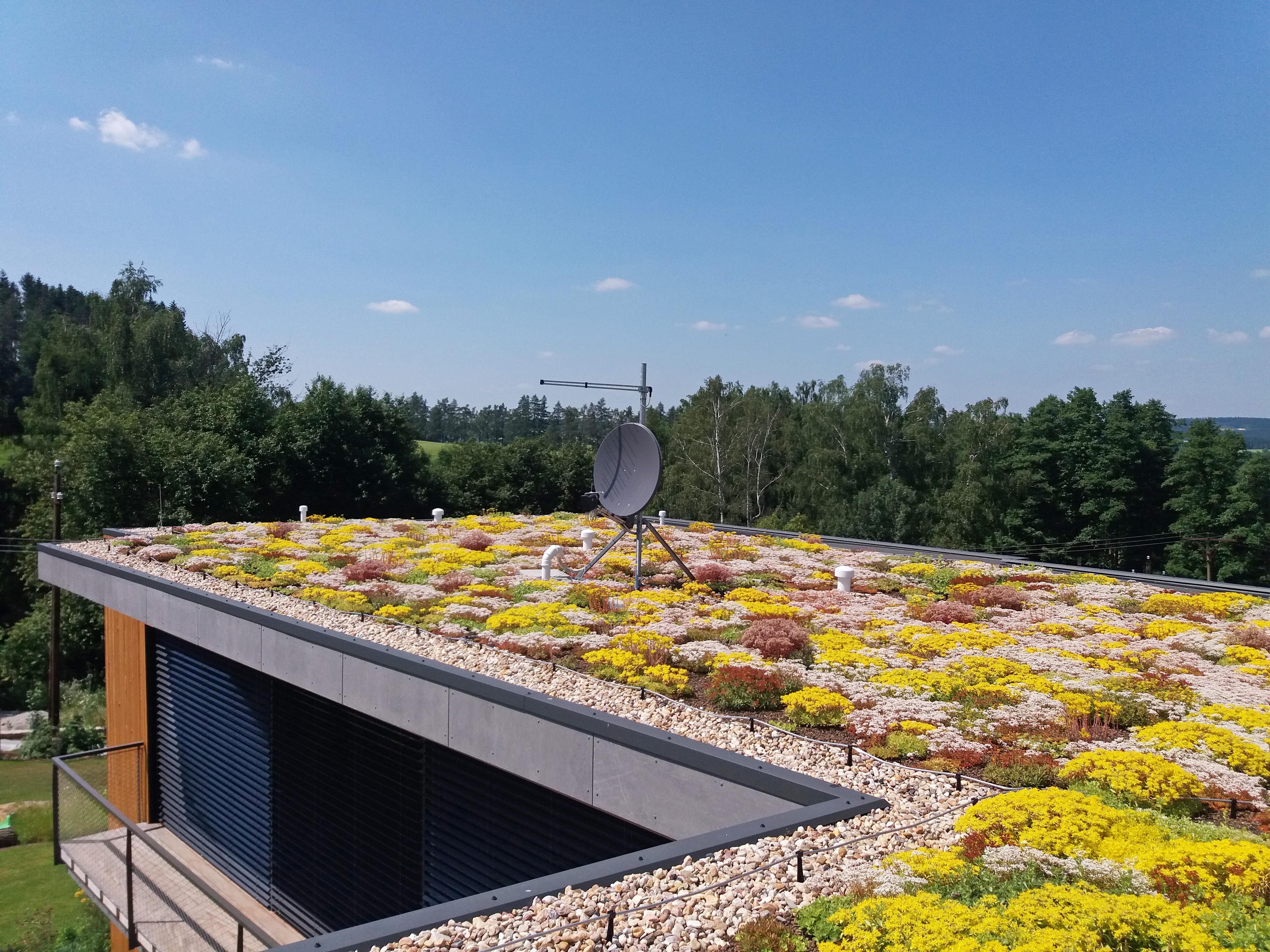 GreenVille - zelené střechy foto 5