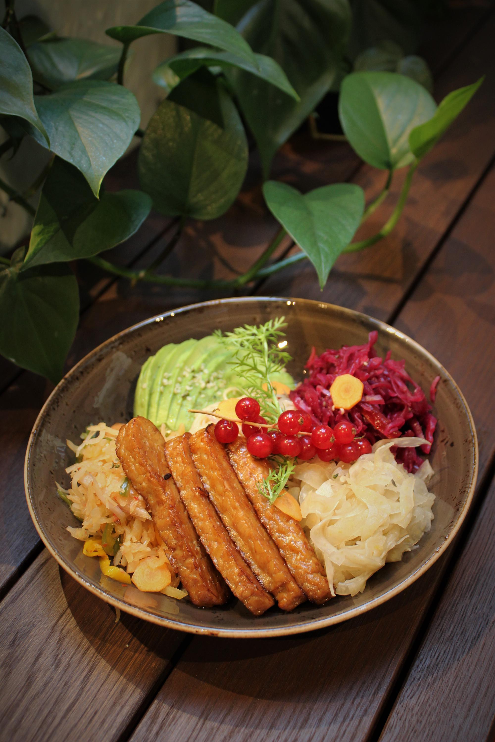 Healthy Longevity Café foto 4