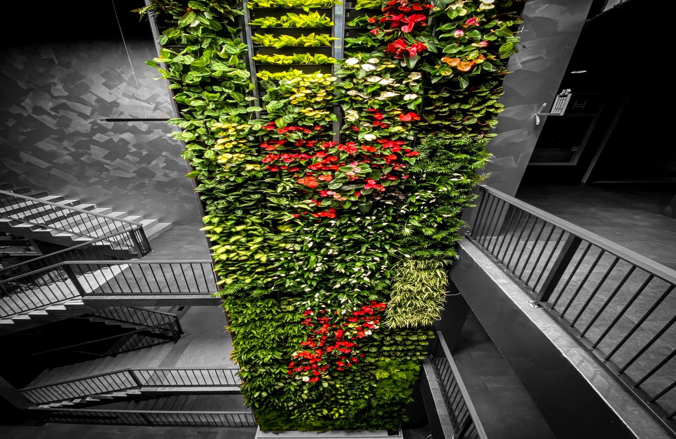BP - GARDEN foto 4