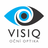 logo ZM VISIO