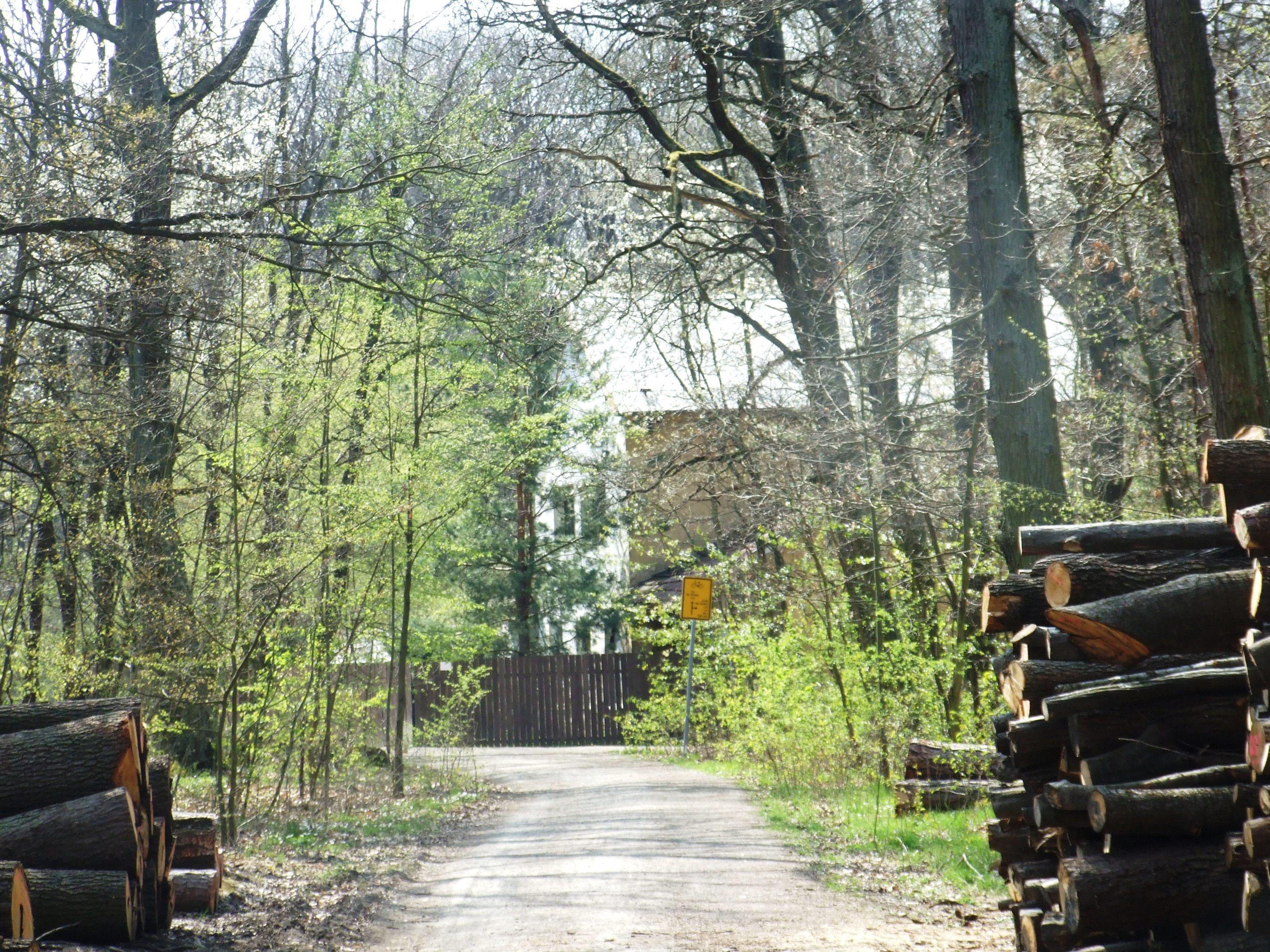 Lesní komunitní škola - V Hájence foto 2