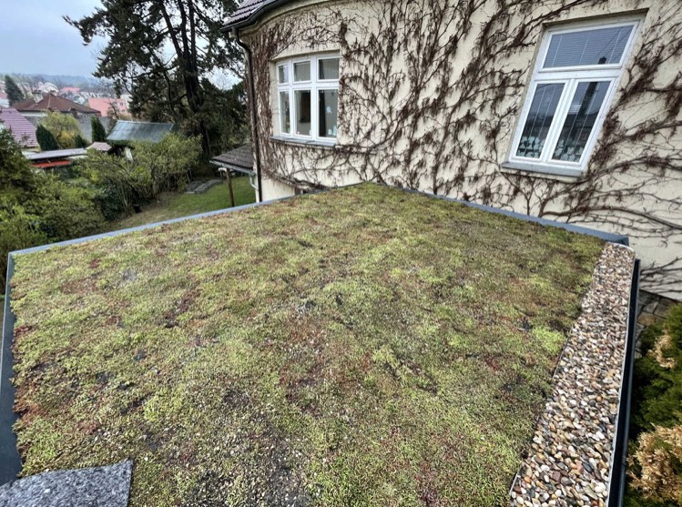 BerGreen roof foto 4