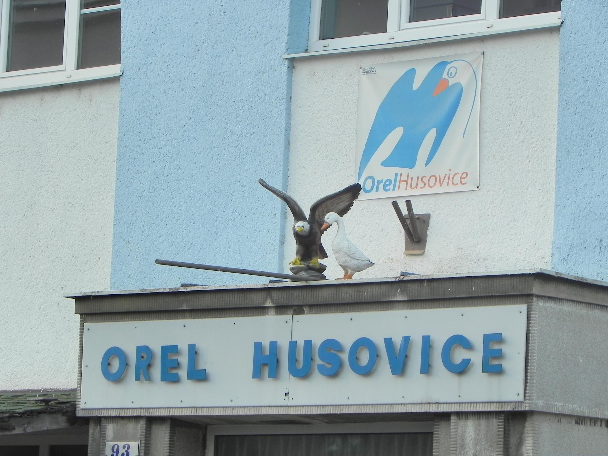 Tělocvična Orel jednota Brno - Husovice foto 5