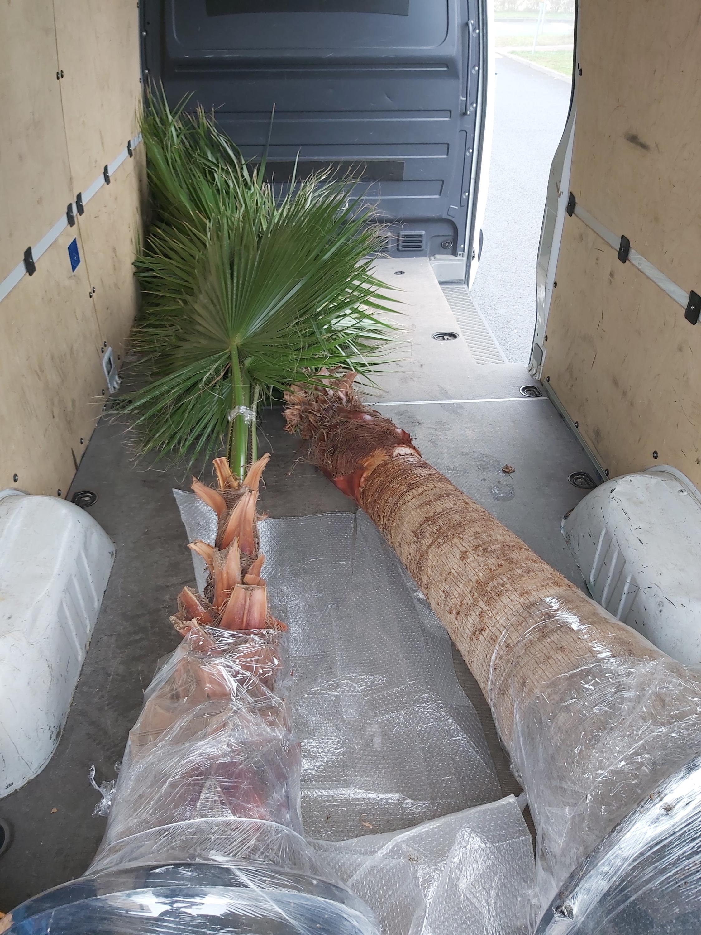 Jiří Mašek - Autodoprava a služby foto 3