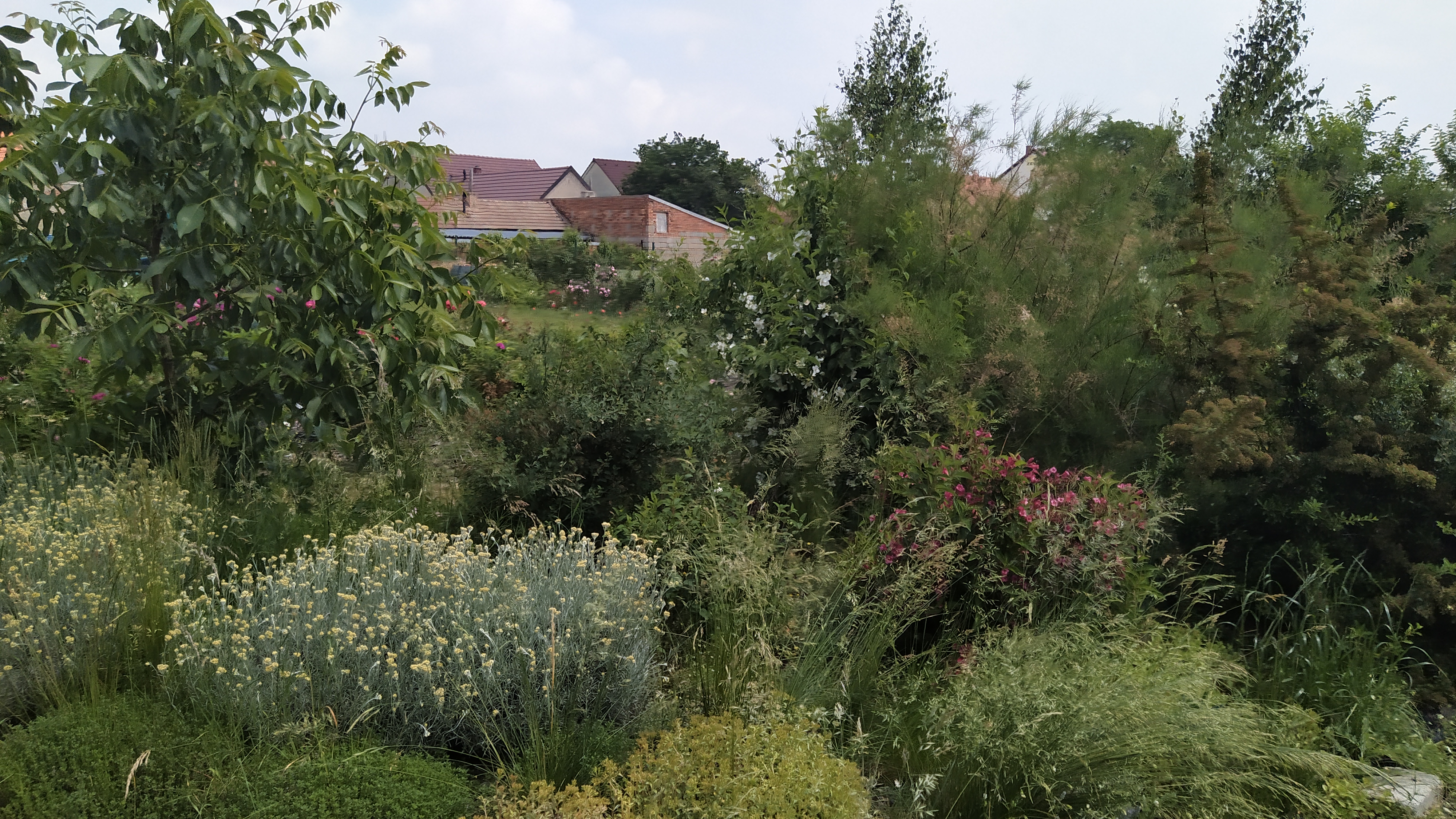 Návrhy a realizace zahrad Veronika Pokorná foto 2