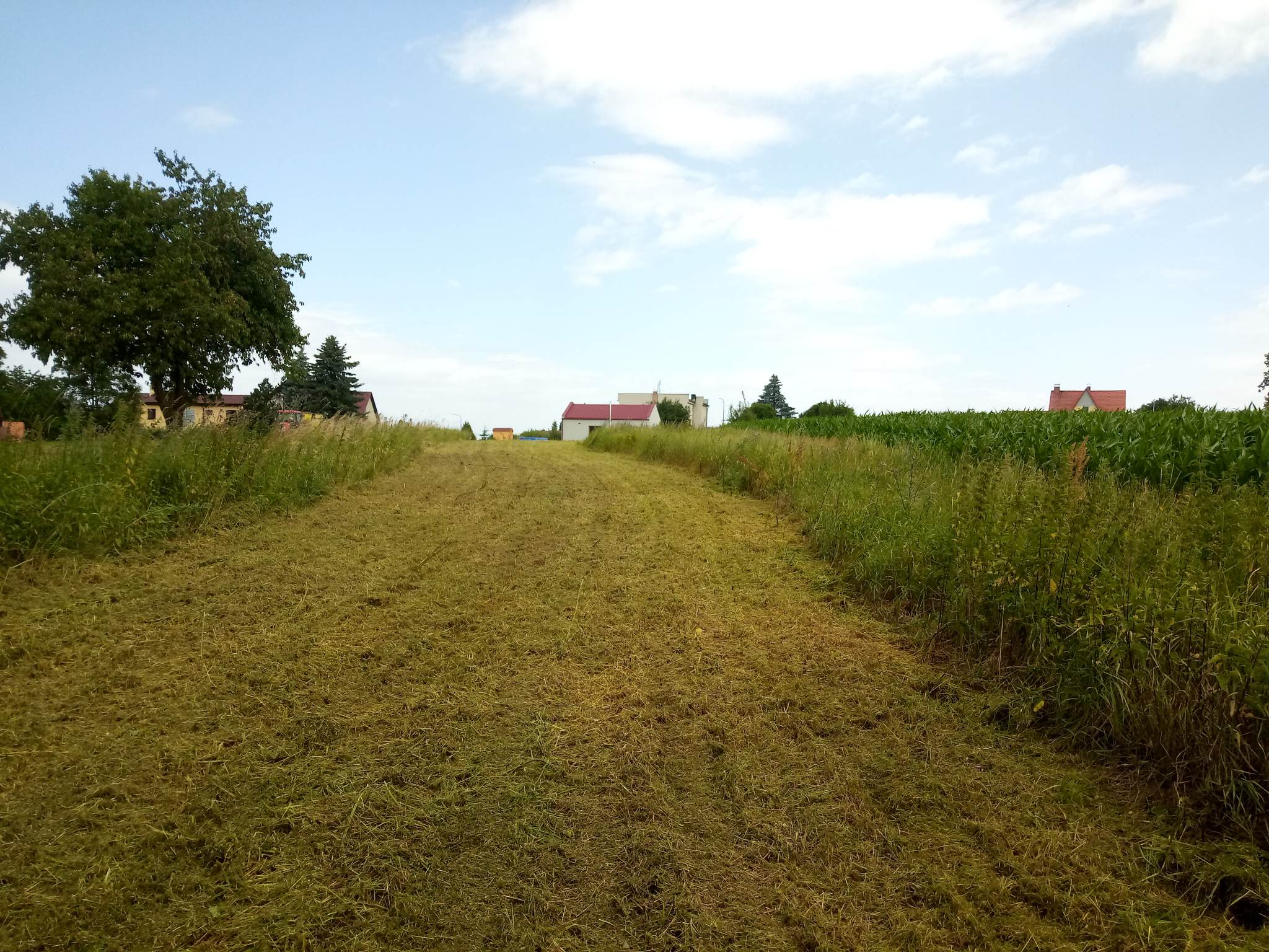 Sečení a údržba travnatých ploch Jiří Andreas foto 2