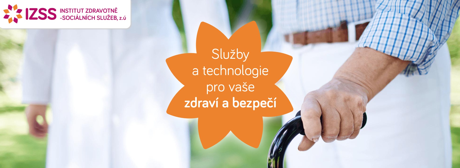 Institut zdravotně-sociálních služeb, zapsaný ústav foto 1