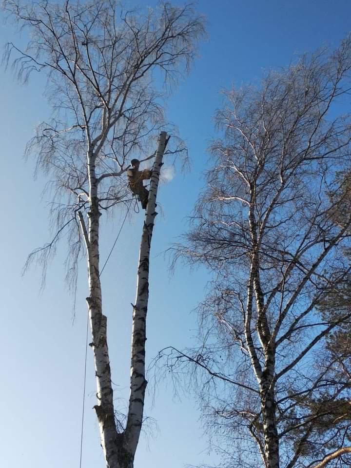 Arboristika Petr Míšek foto 6