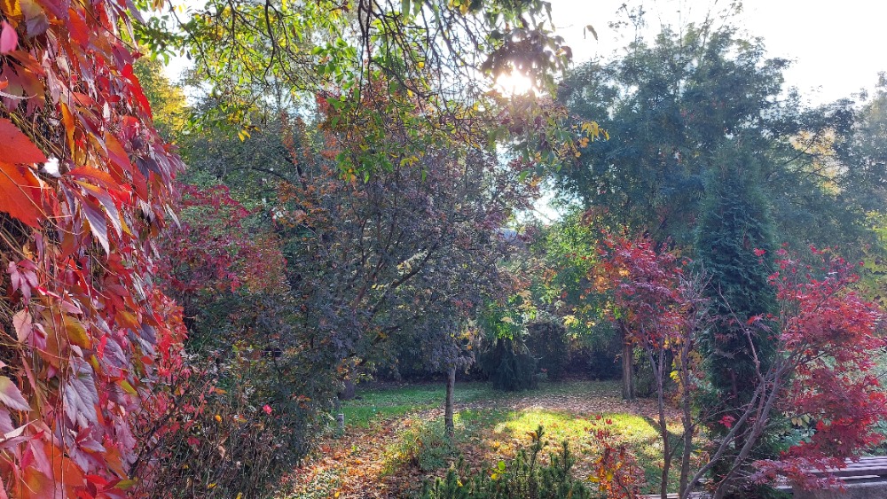 Knihovna Jiřího Mahena v Brně foto 3