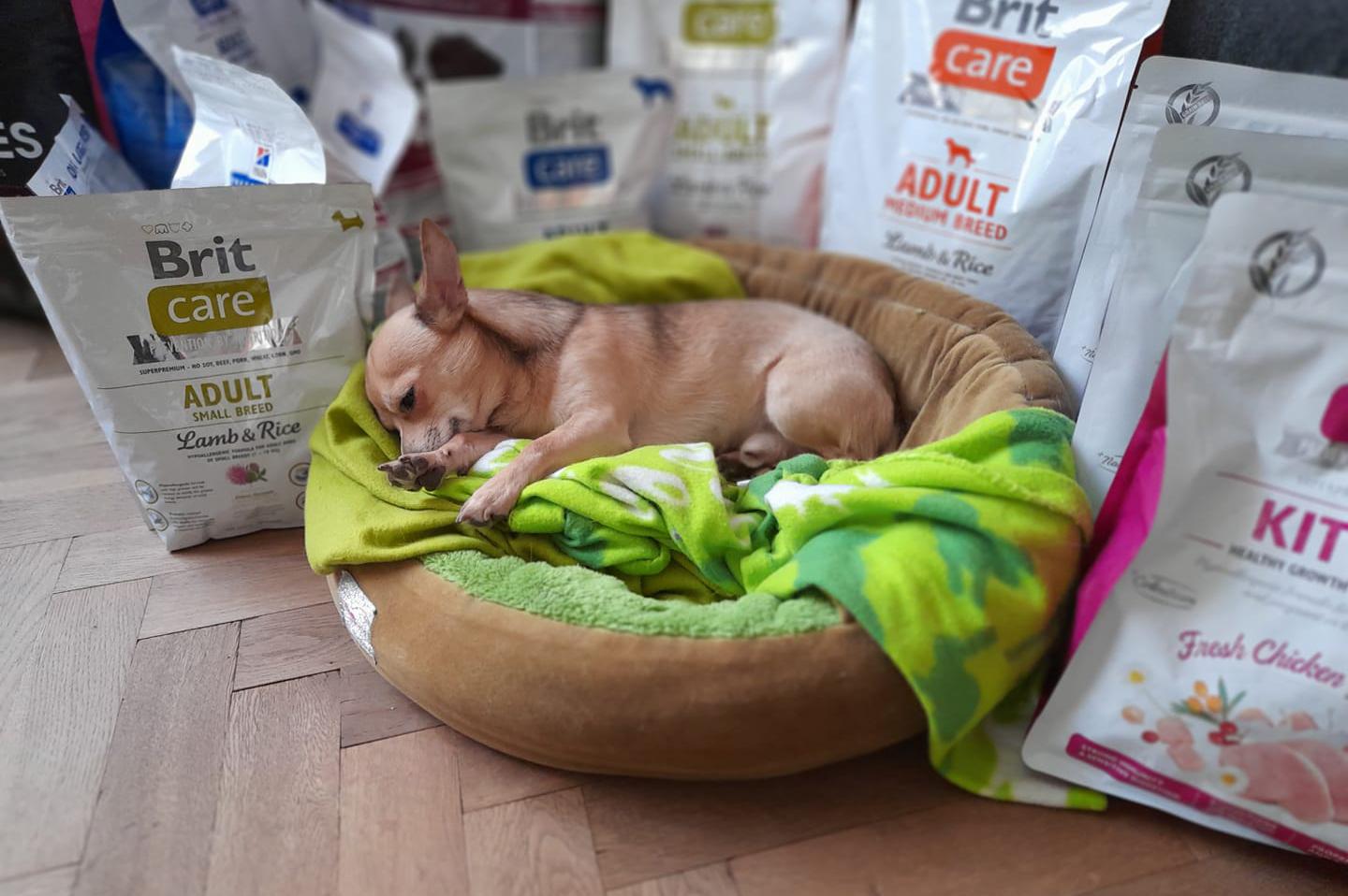 Plné bříško z.s.