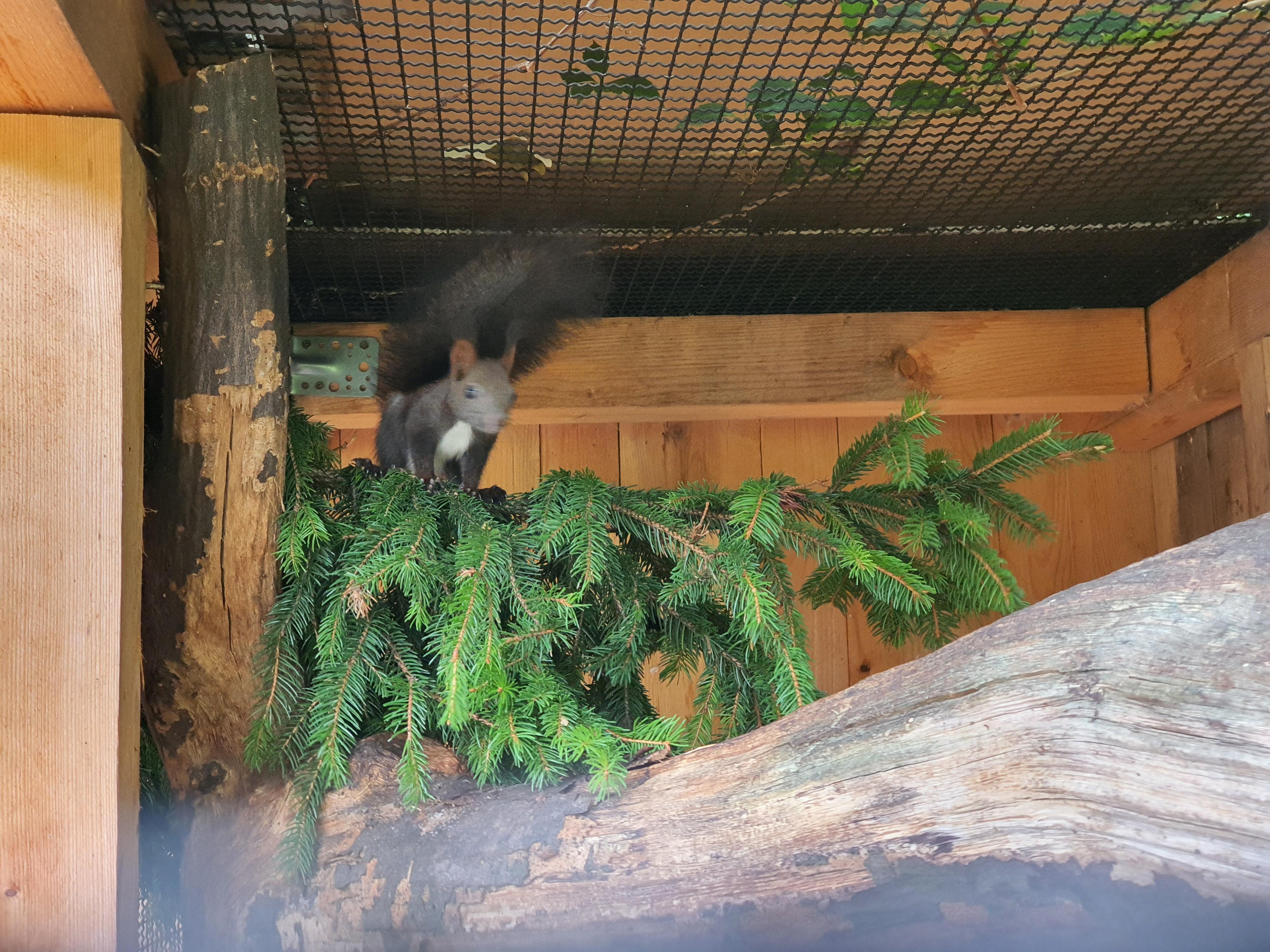 Občerstvení U ledňáčka foto 5