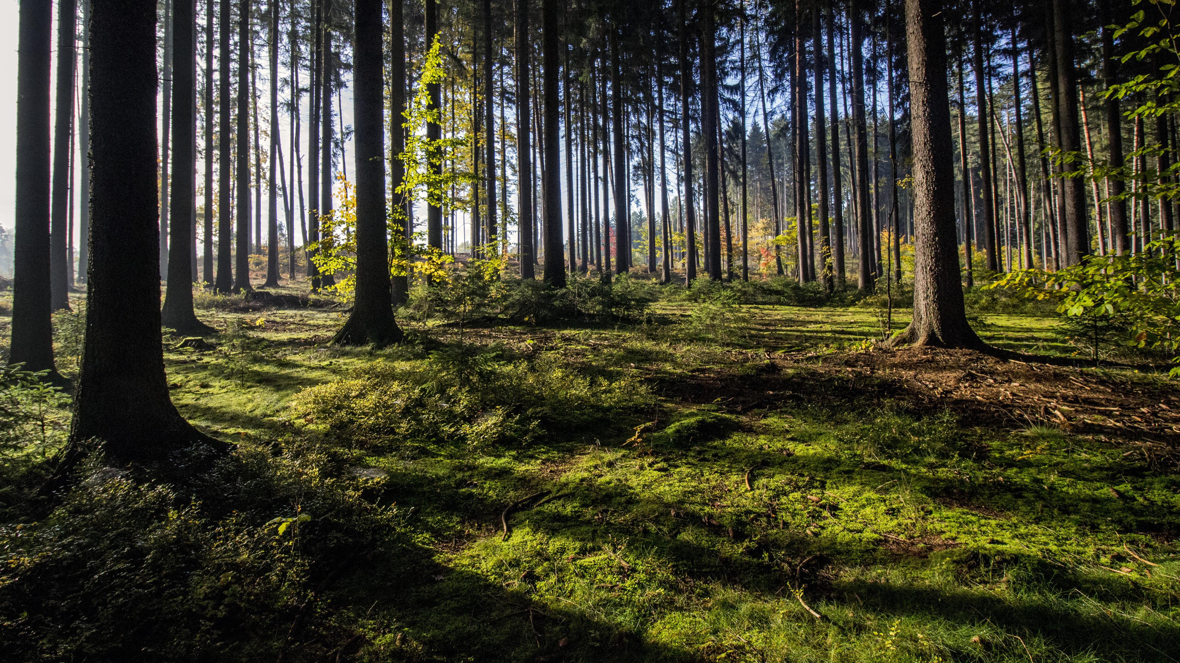 Střelnice SOPKA Nová Paka foto 2