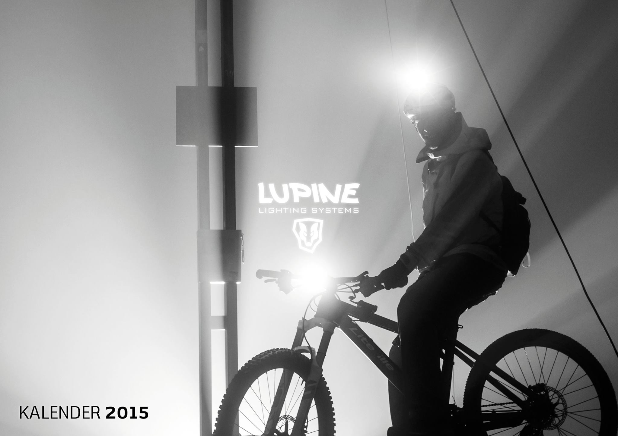 Lupine foto 5