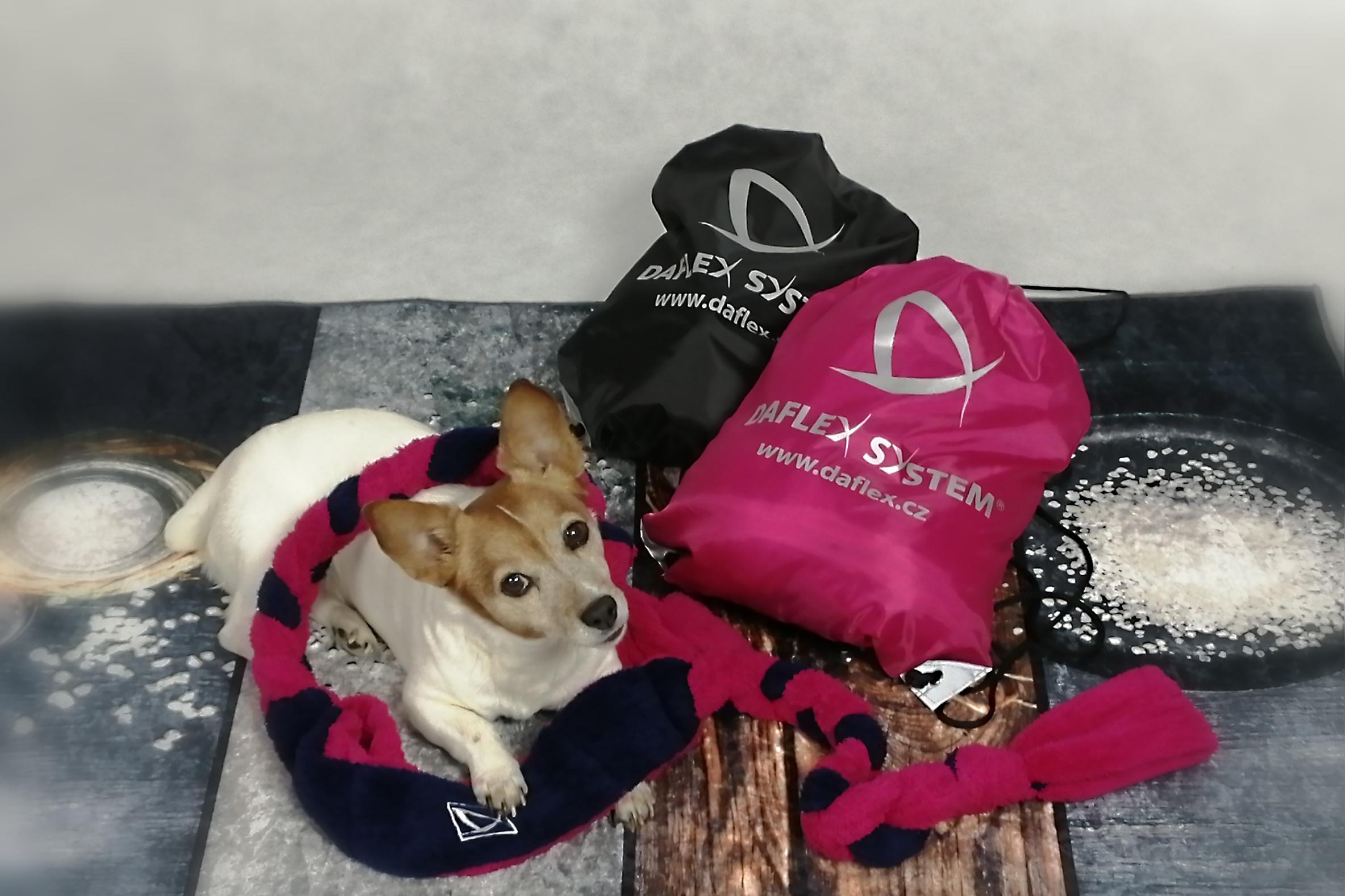 Zdravé Beskydy - Daflex System