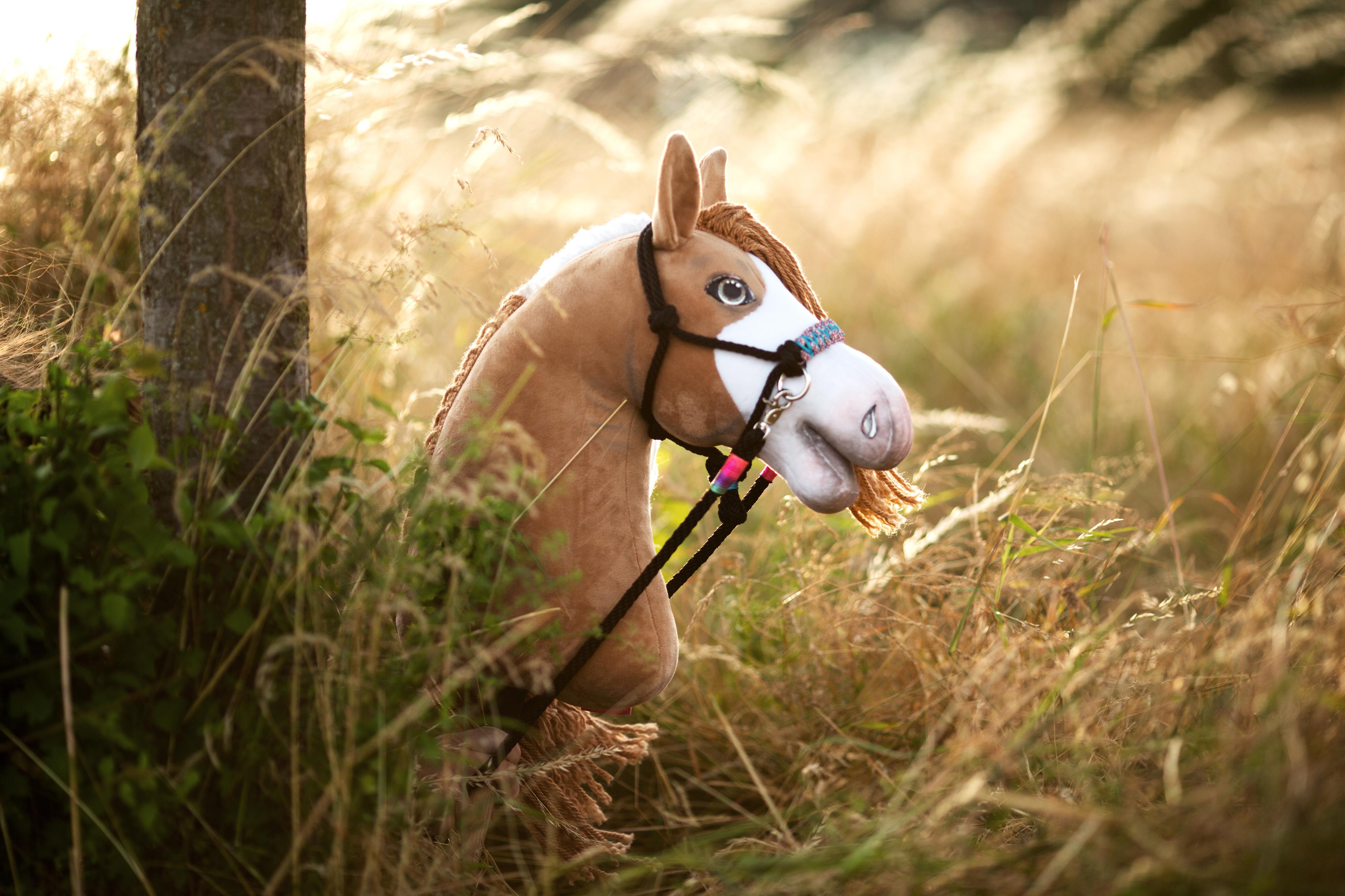 Hobby Horse LarDen foto 2