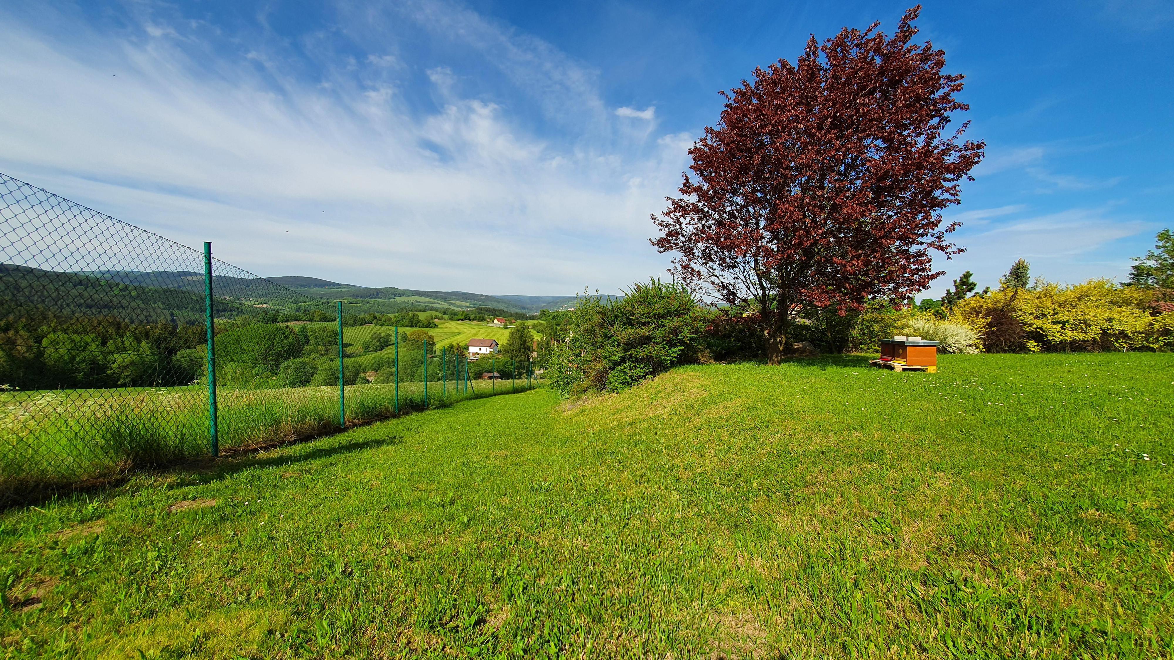 Včelky ze Svaté Maří