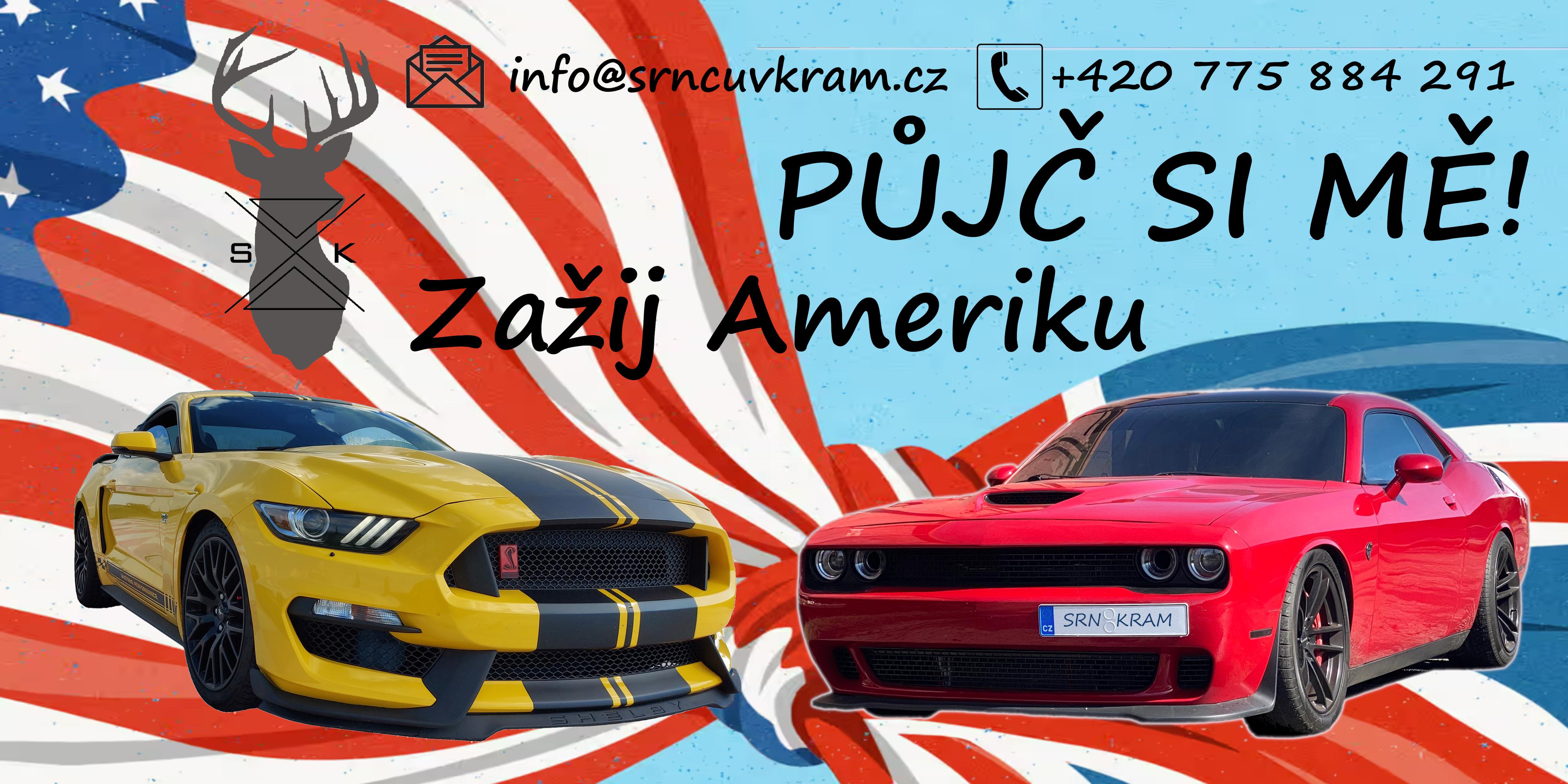 Srncův Mustang foto 4