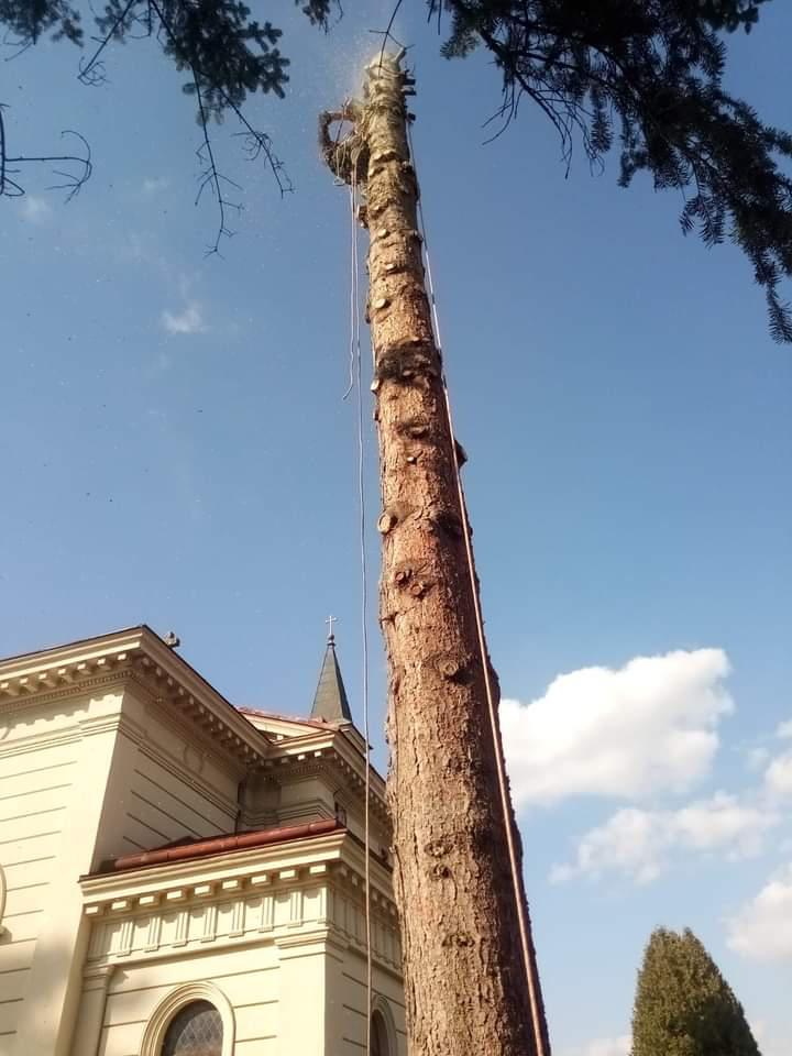 Arboristika Petr Míšek foto 5