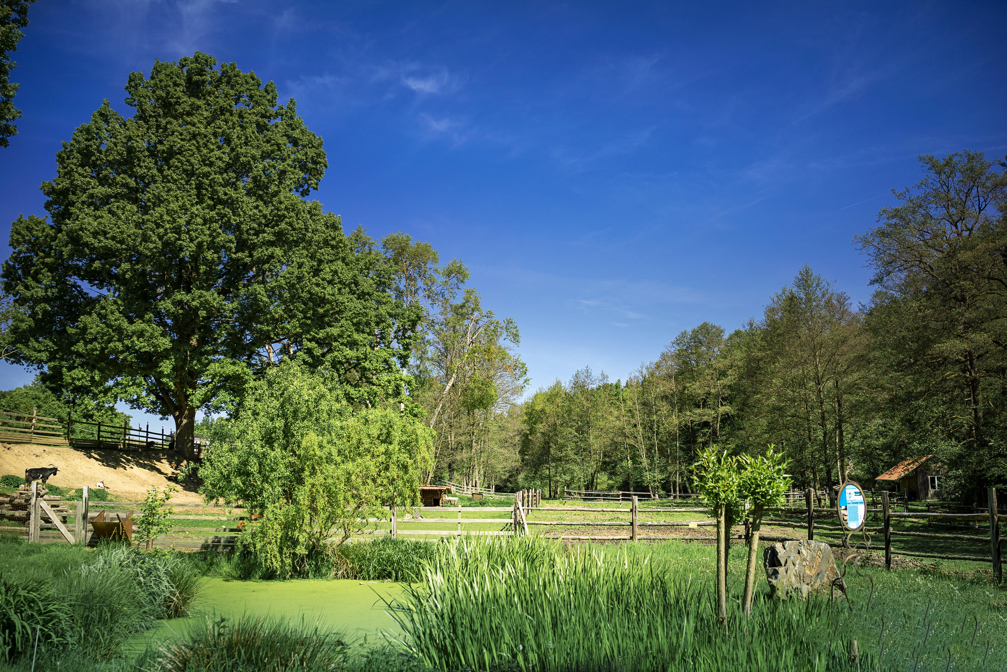 Ubytování Ranč Červený Mlýn foto 4