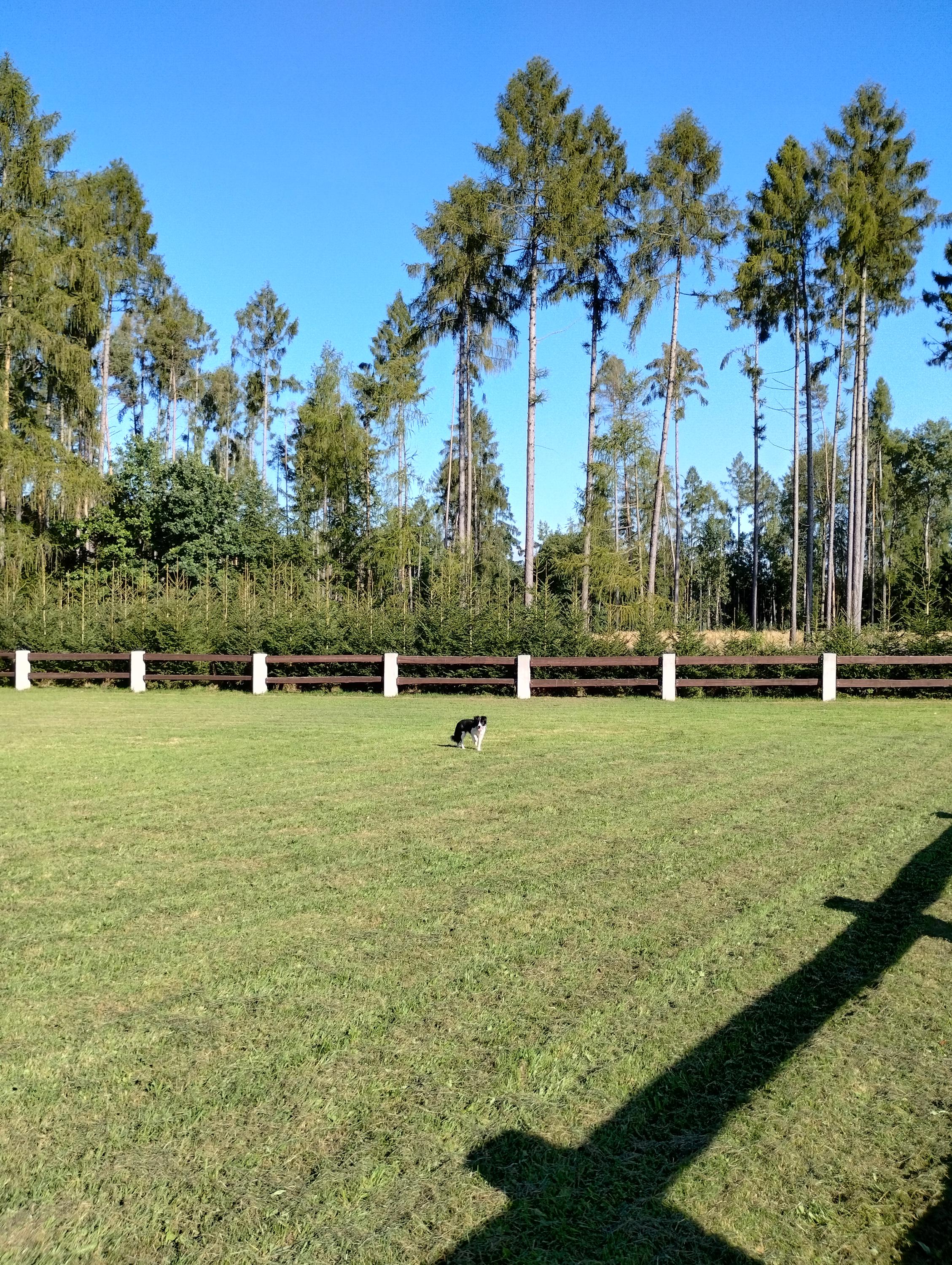 Srub & stodola na Svitálce foto 3