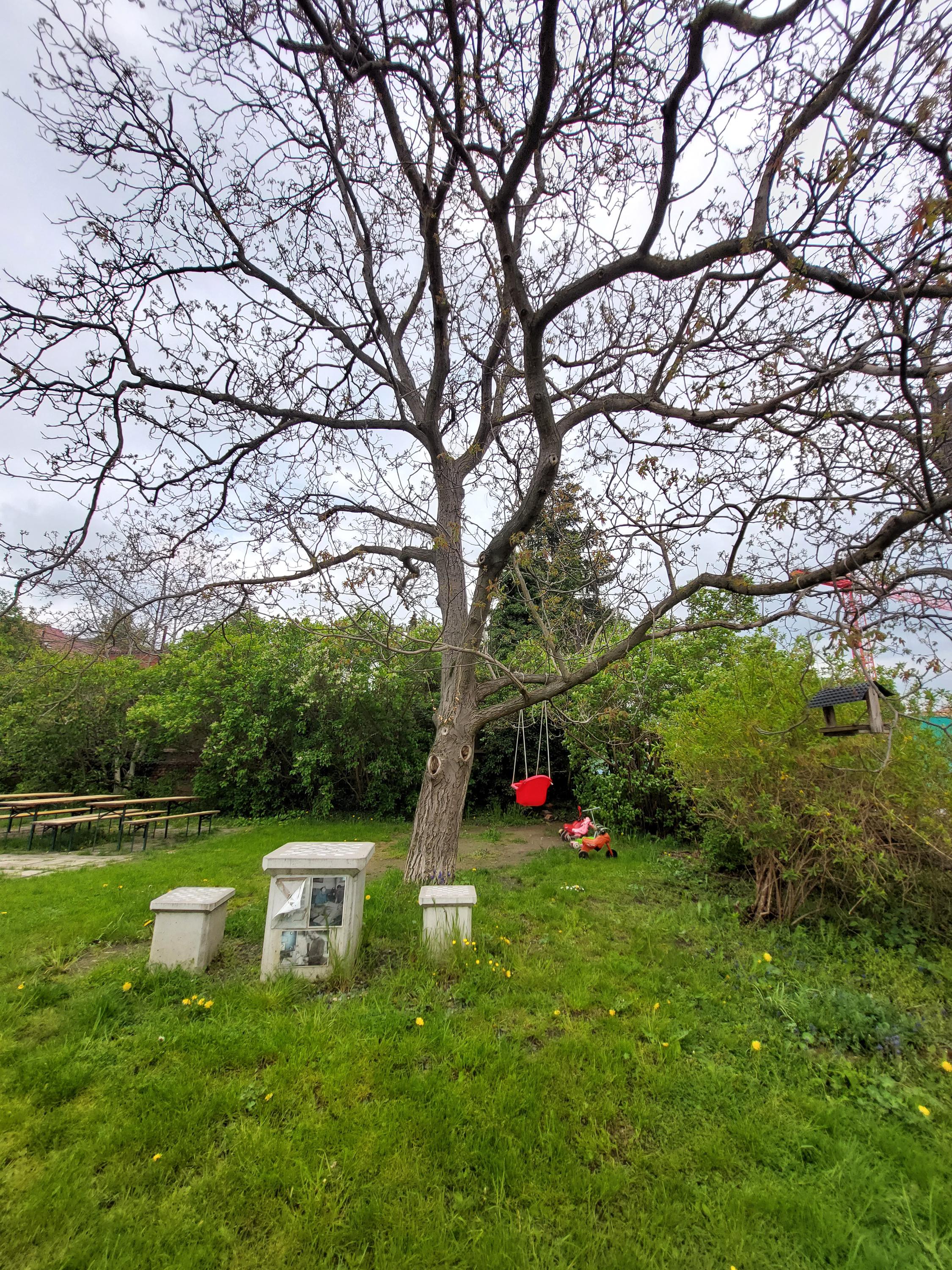 Komunitní centrum a zahrada Kotlaska foto 5