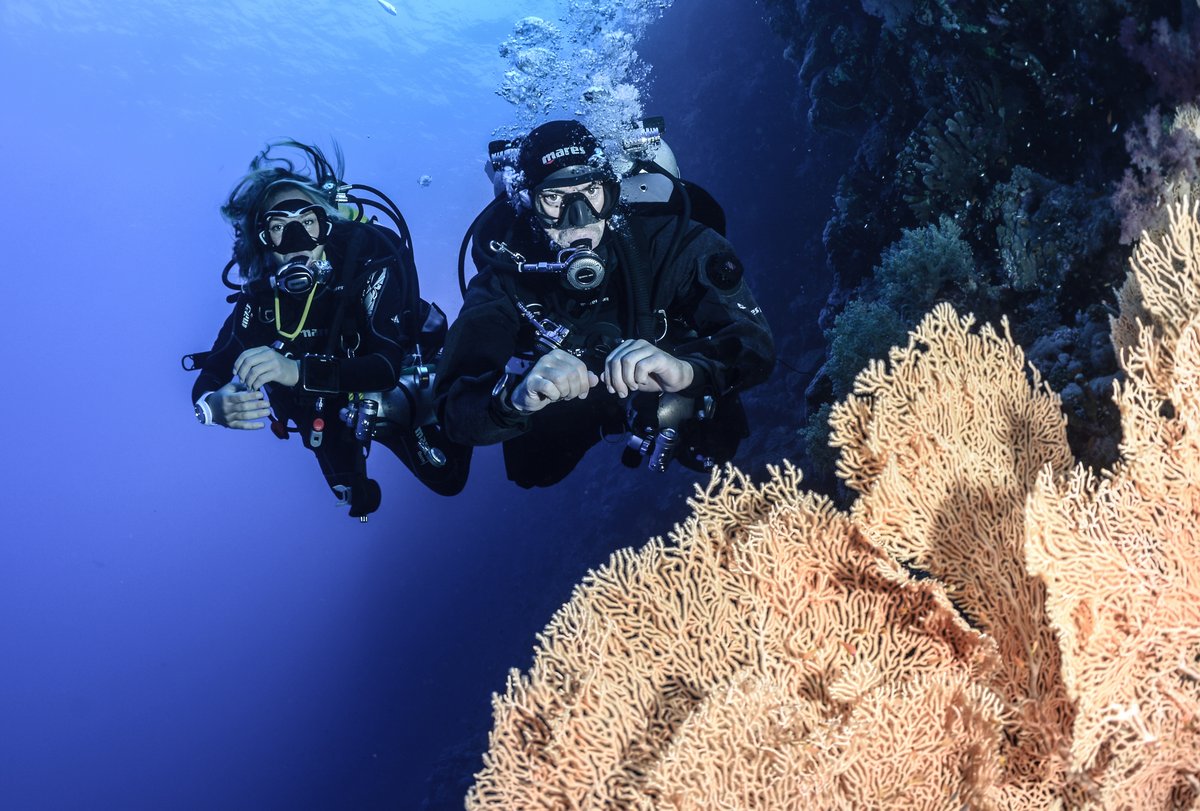 PISCES DIVING WORLD foto 4