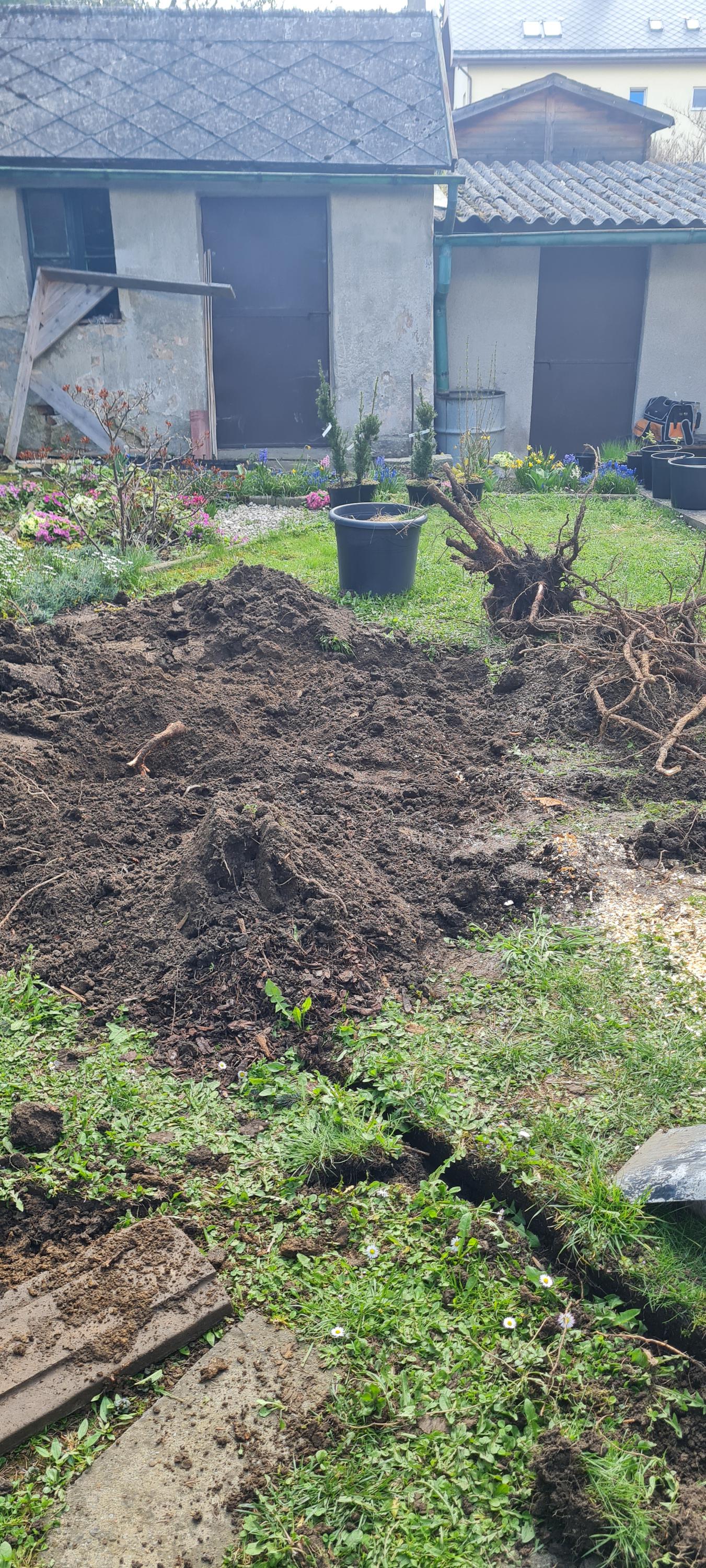 Šándor - Zahradnicke služby foto 3