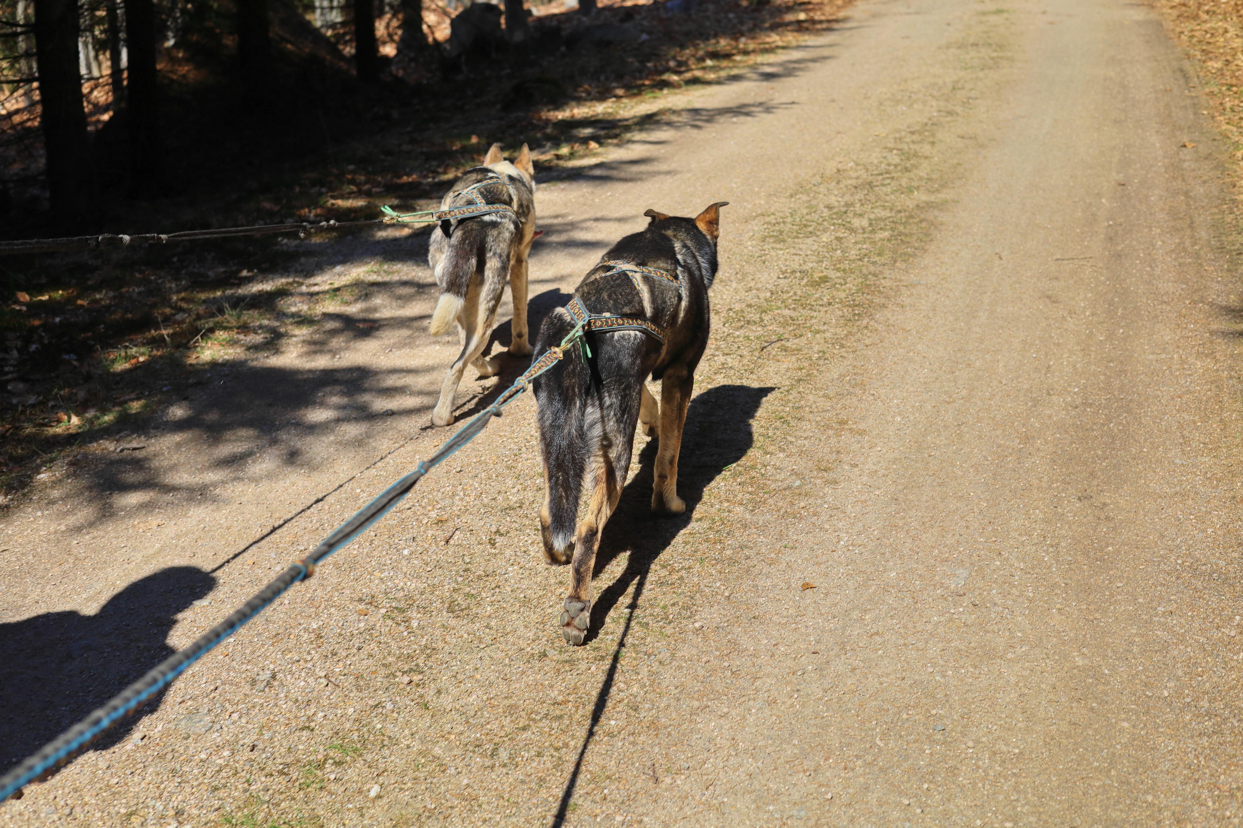 Rodney Scott Lovette foto 3