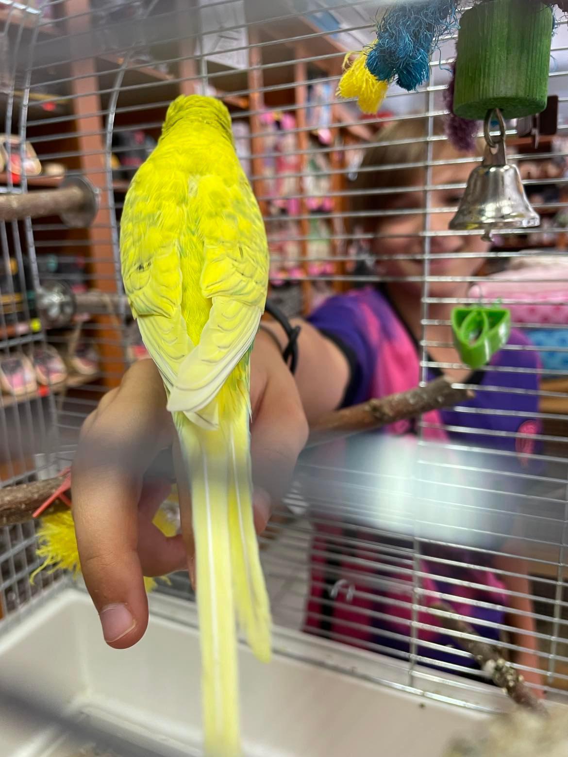 Bouda - chovatelské a zahrádkářské potřeby foto 3