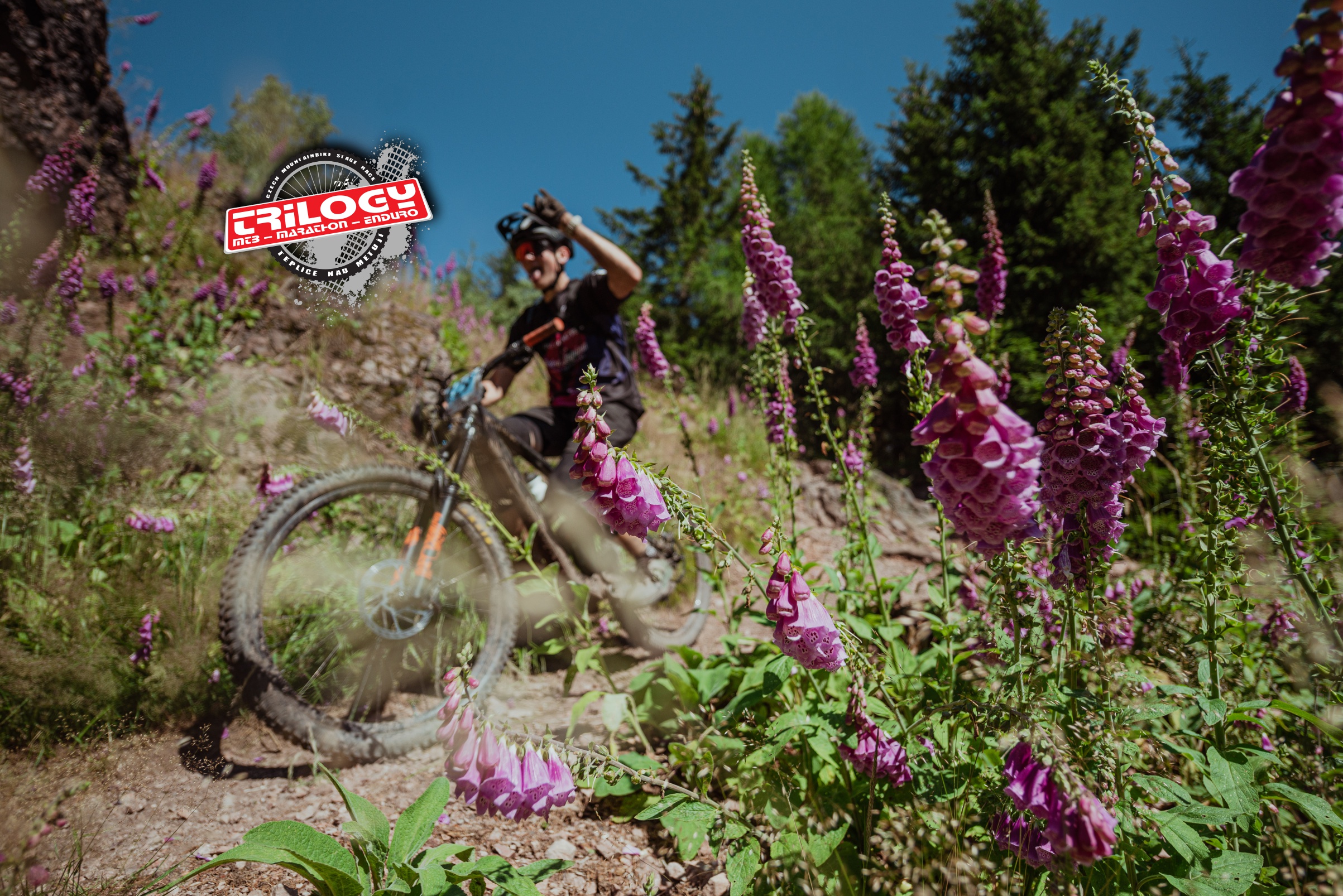 MTB Trilogy, z. s. foto 4