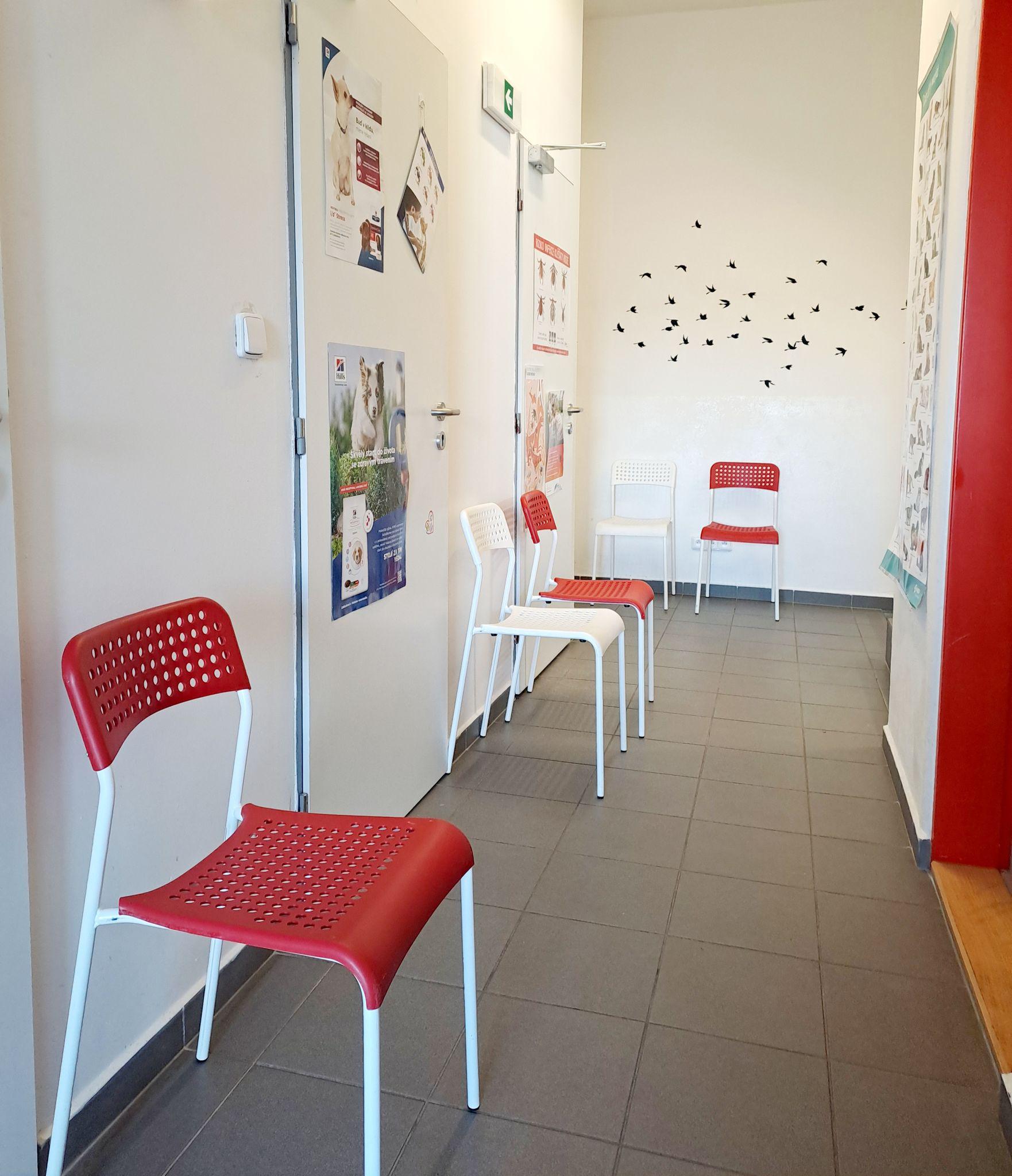 Dravet - veterinární ordinace Drásov foto 3