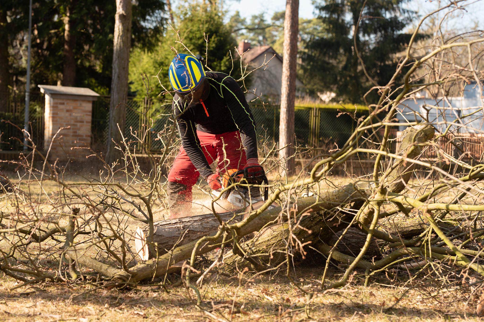 Tomáš Kopřiva - Arboristika a rizikové kácení