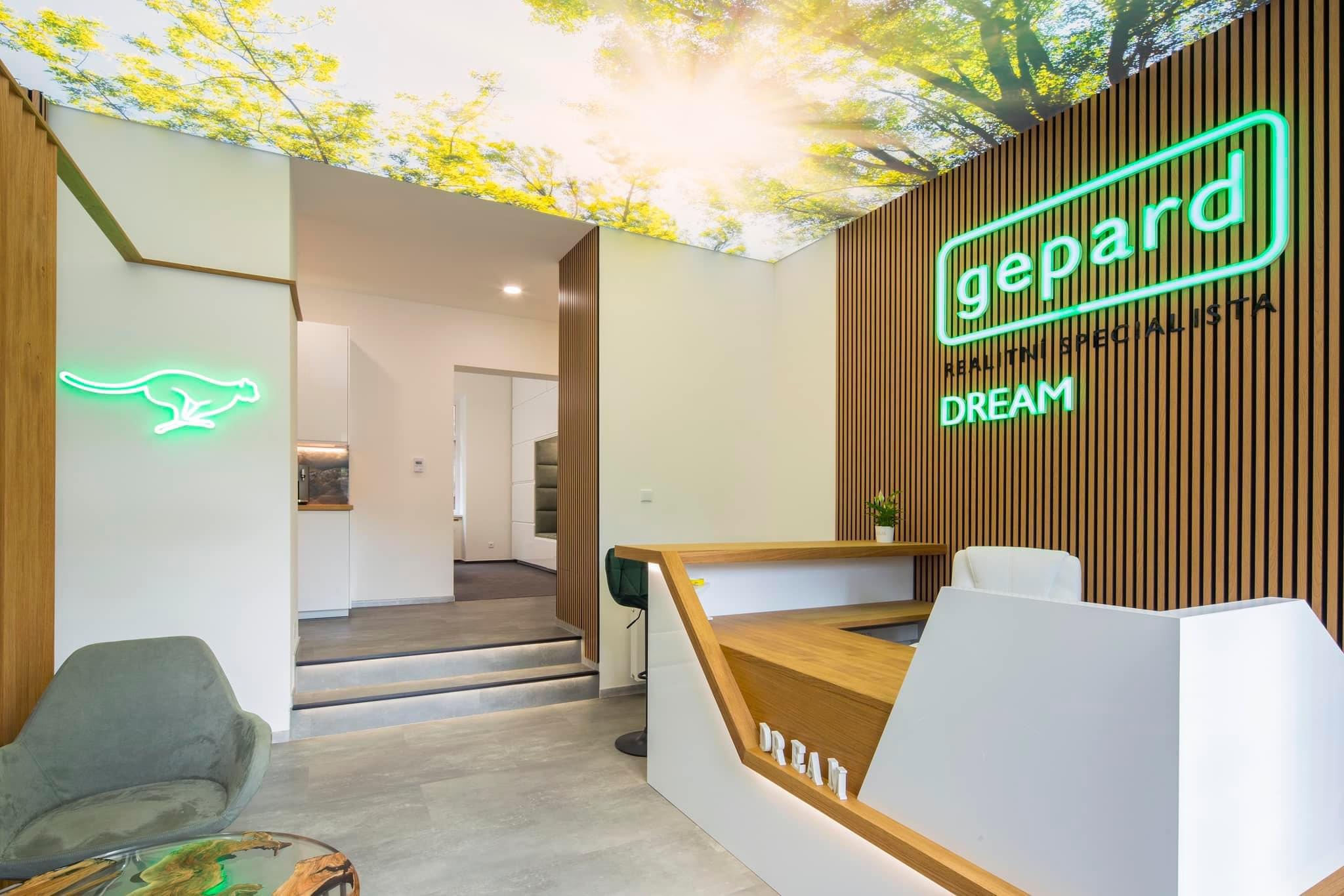 GEPARD REALITY/Dream