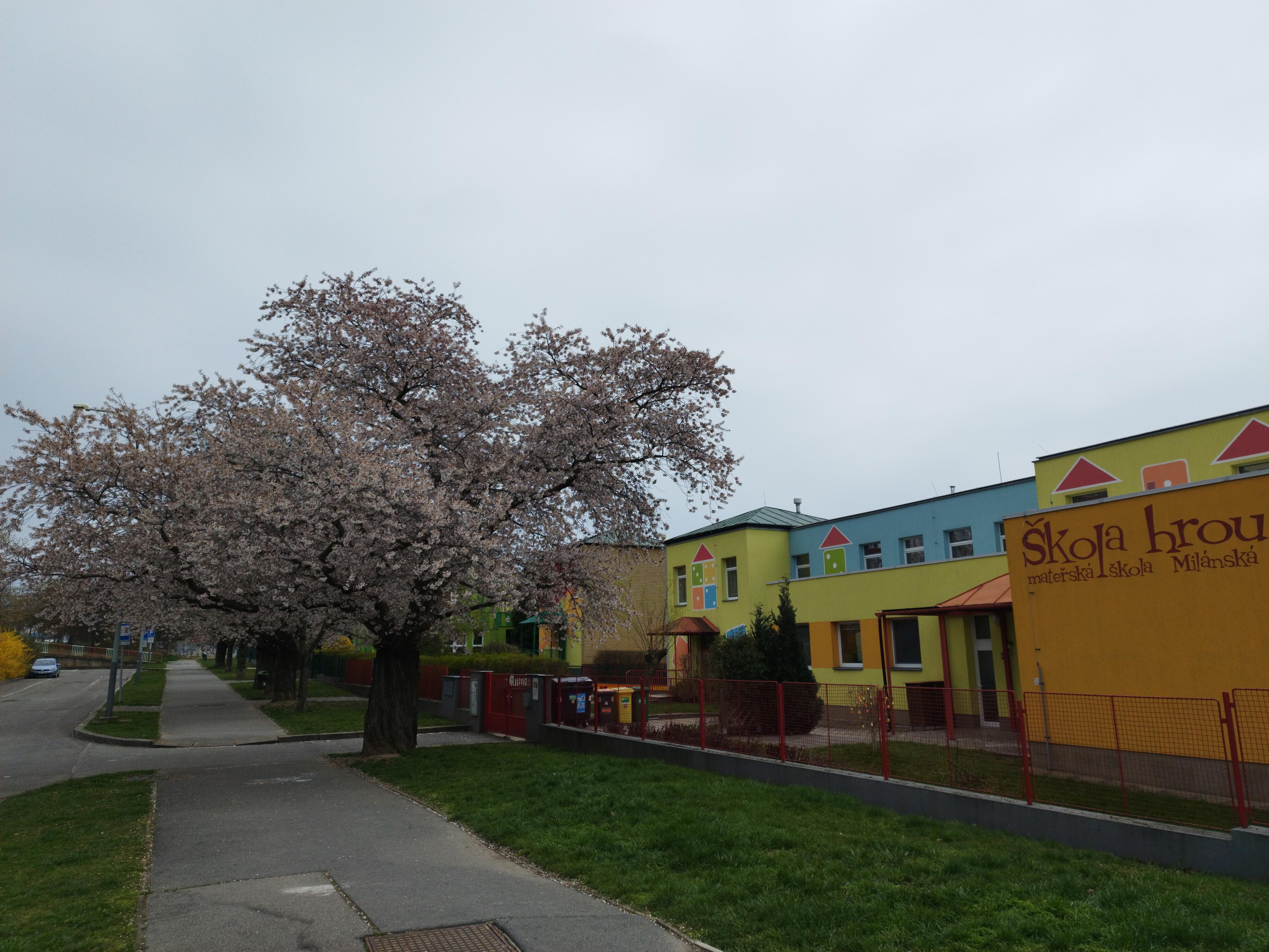 MŠ Praha 10, Milánská - Škola hrou foto 3