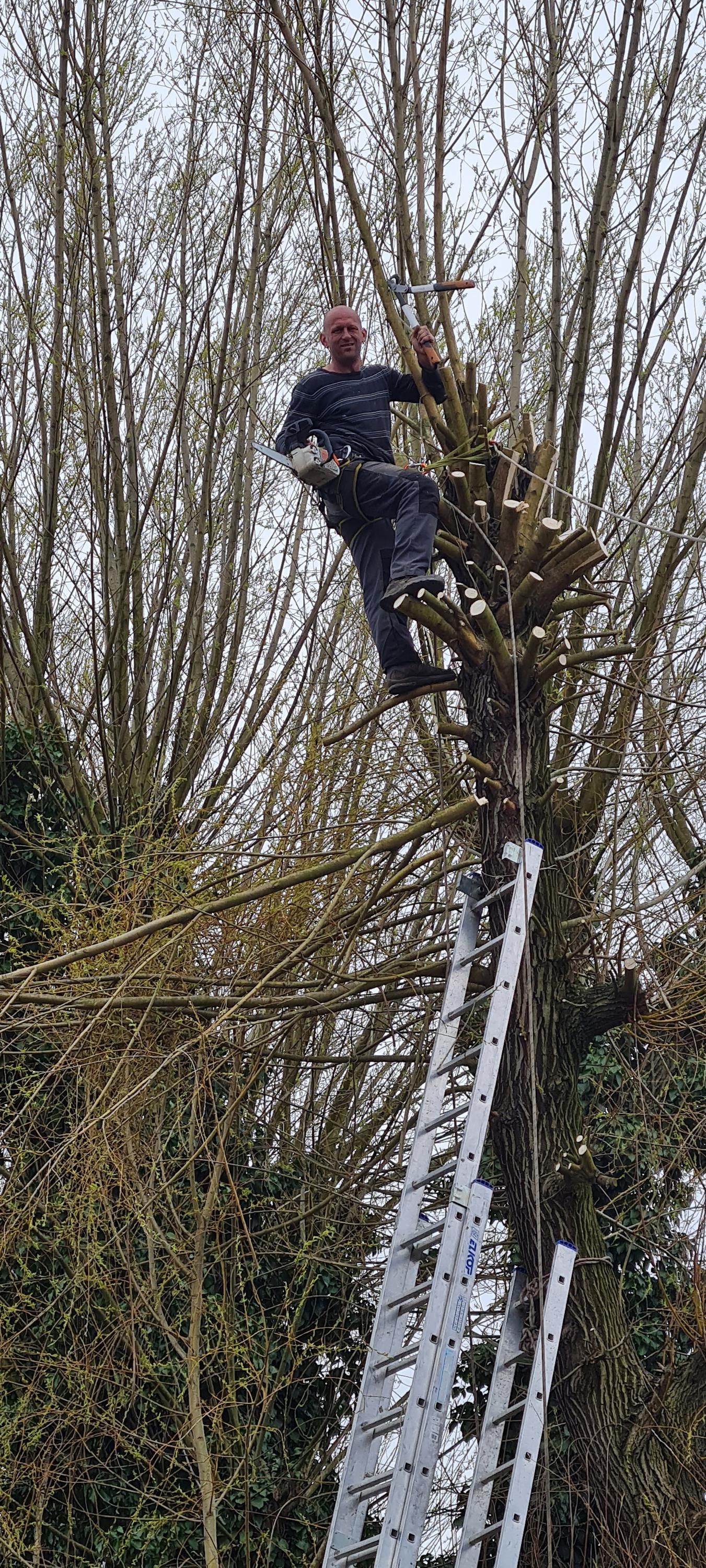 Šándor - Zahradnicke služby foto 6