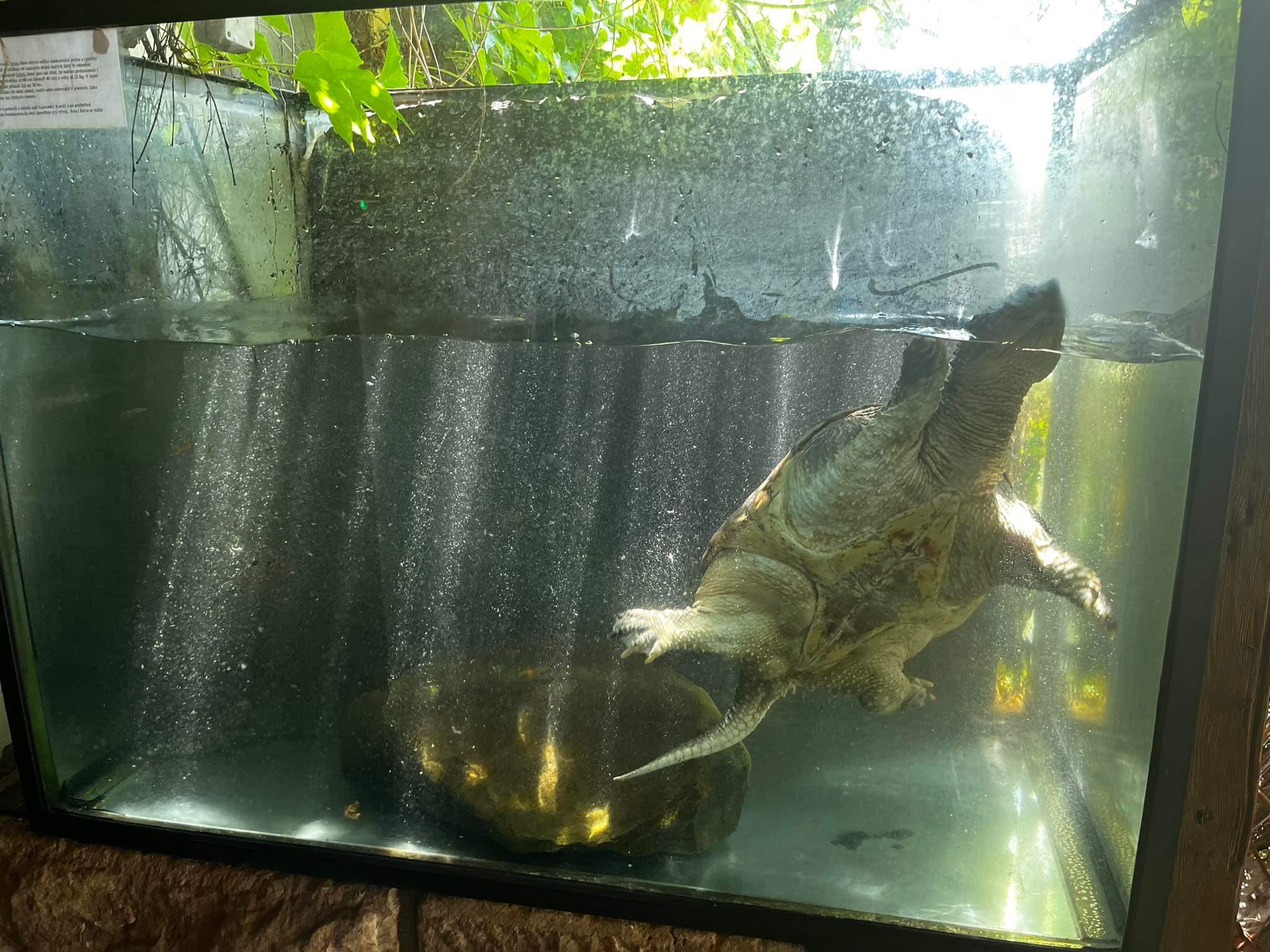 Středověká krčma Starý Pivovar foto 6