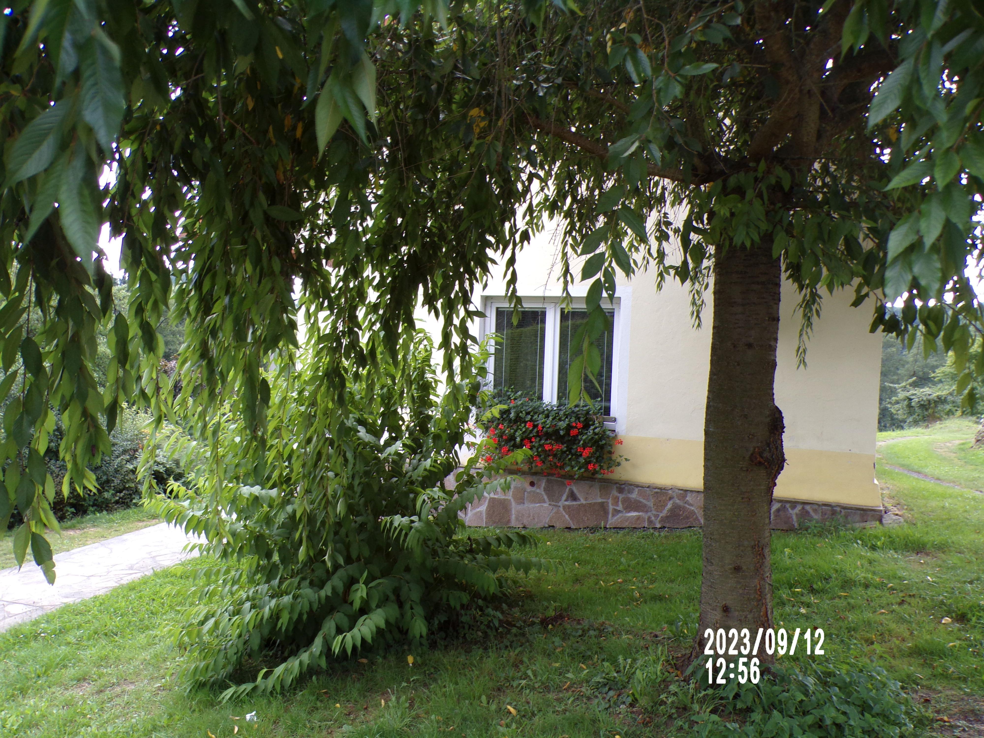 Ostrov - obecní úřad foto 4
