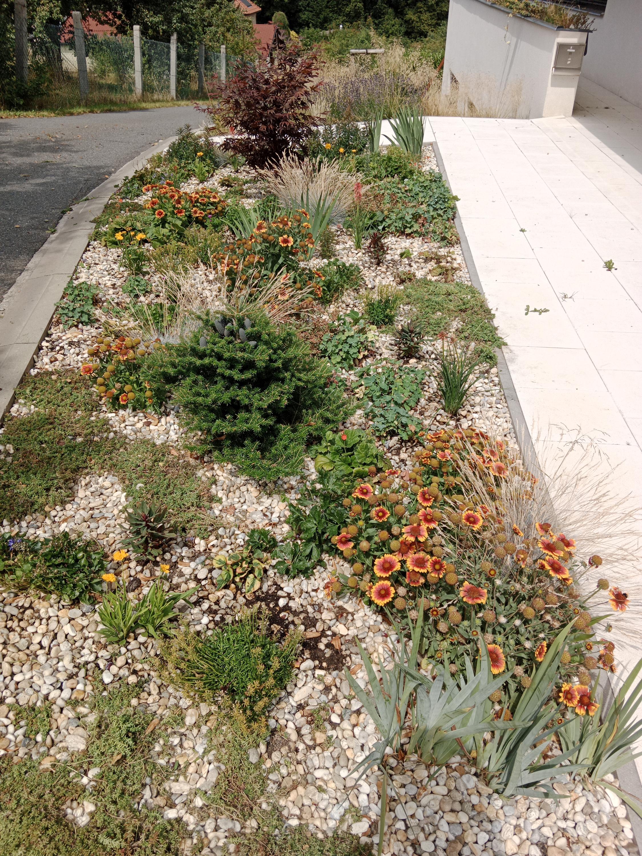 Návrhy a realizace zahrad Danieková foto 4