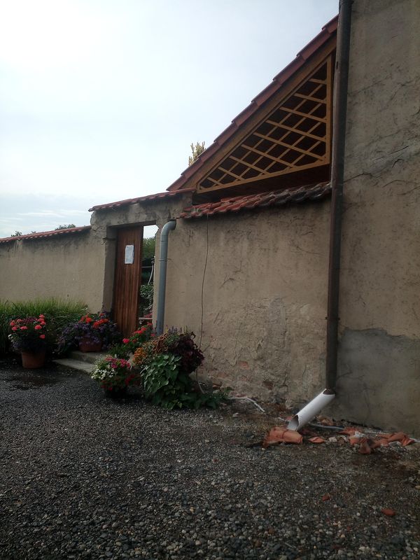 Poplze U Libochovic Zahradnictvi () Poplze U Libochovic Zahradnictvi