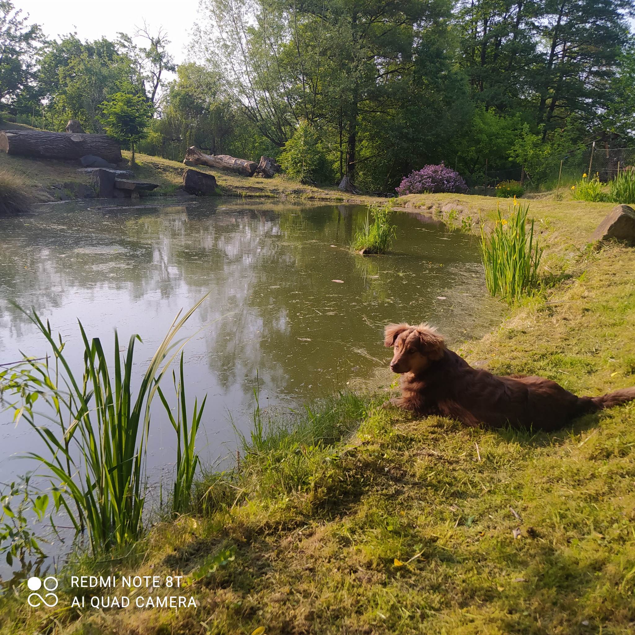 Chalupa Bzová foto 2