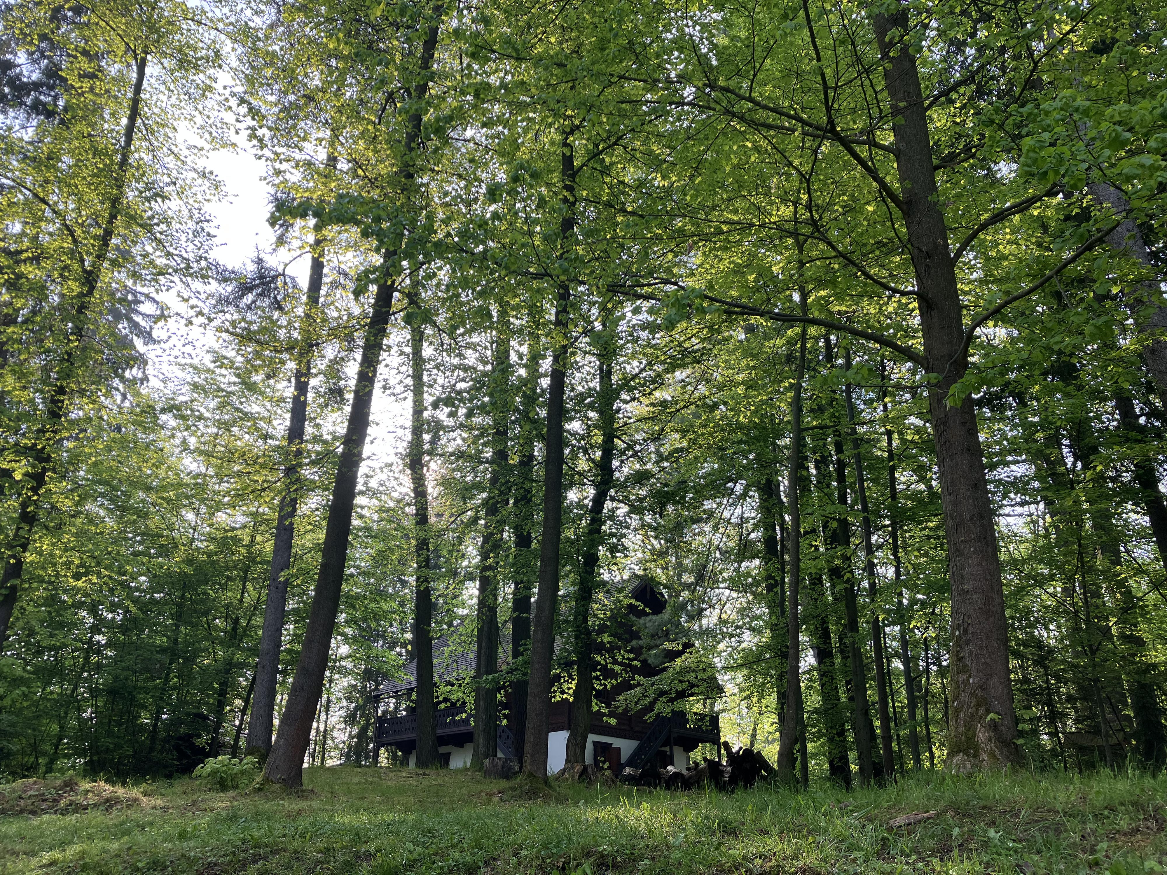 Skautská základna Švýcarák foto 4
