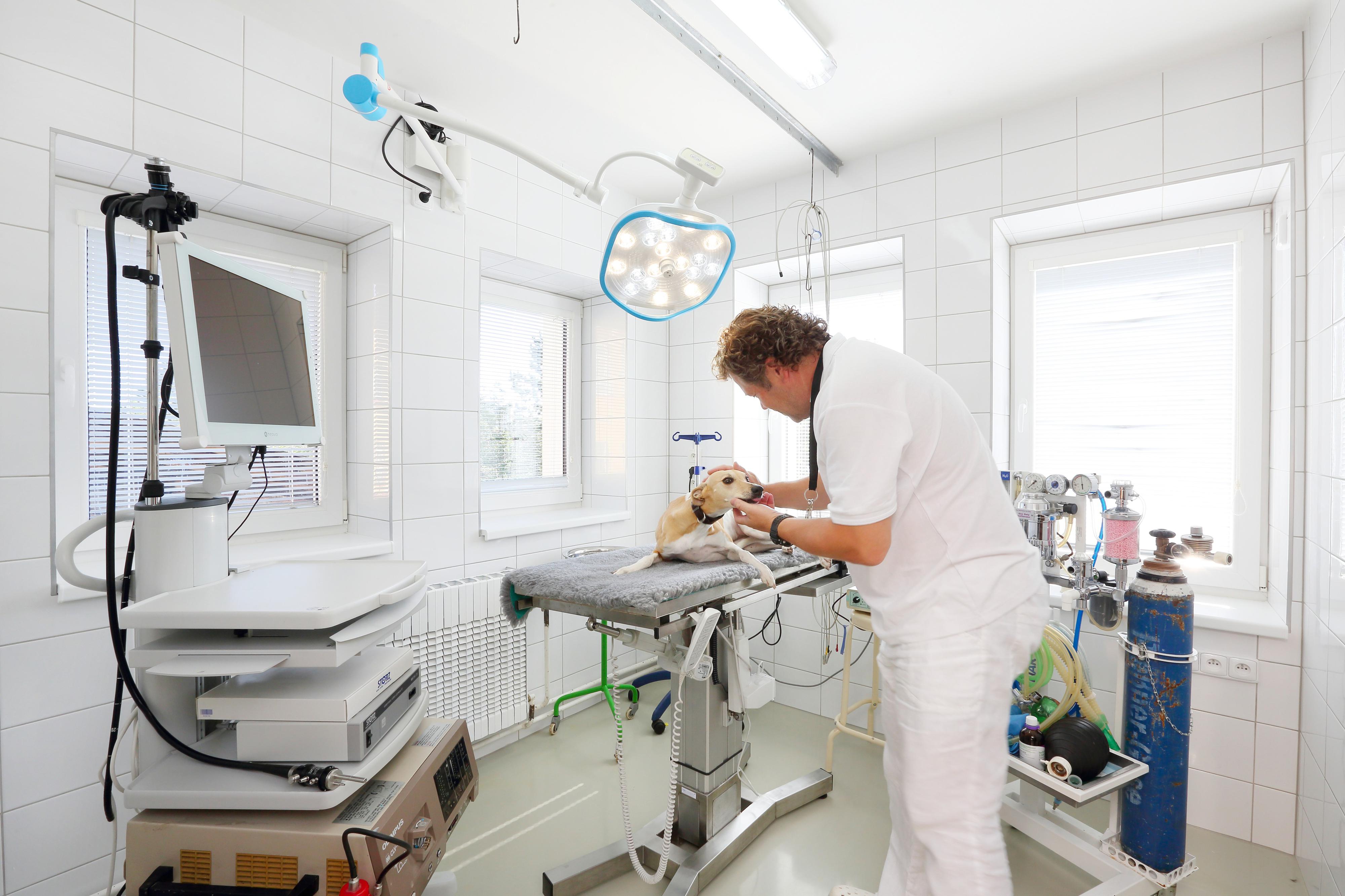 Veterinární klinika na Weilovně foto 5