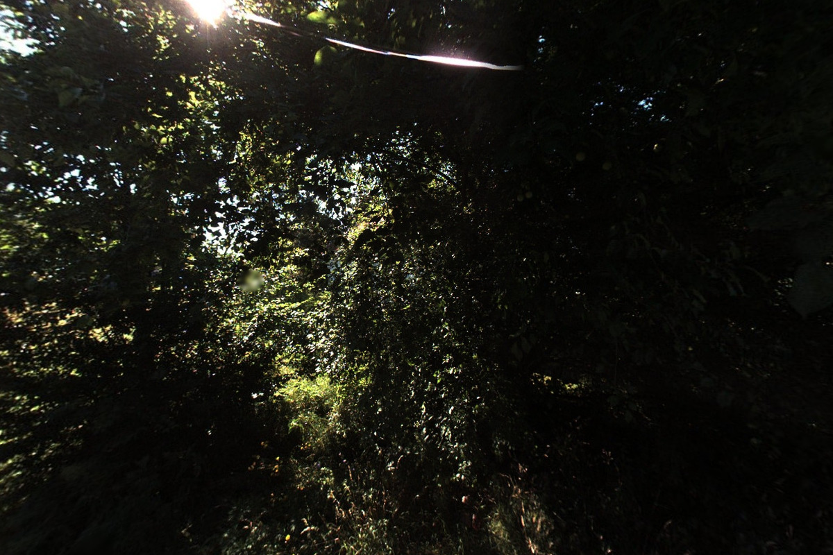 Římskokatolická farnost Velká Bystřice