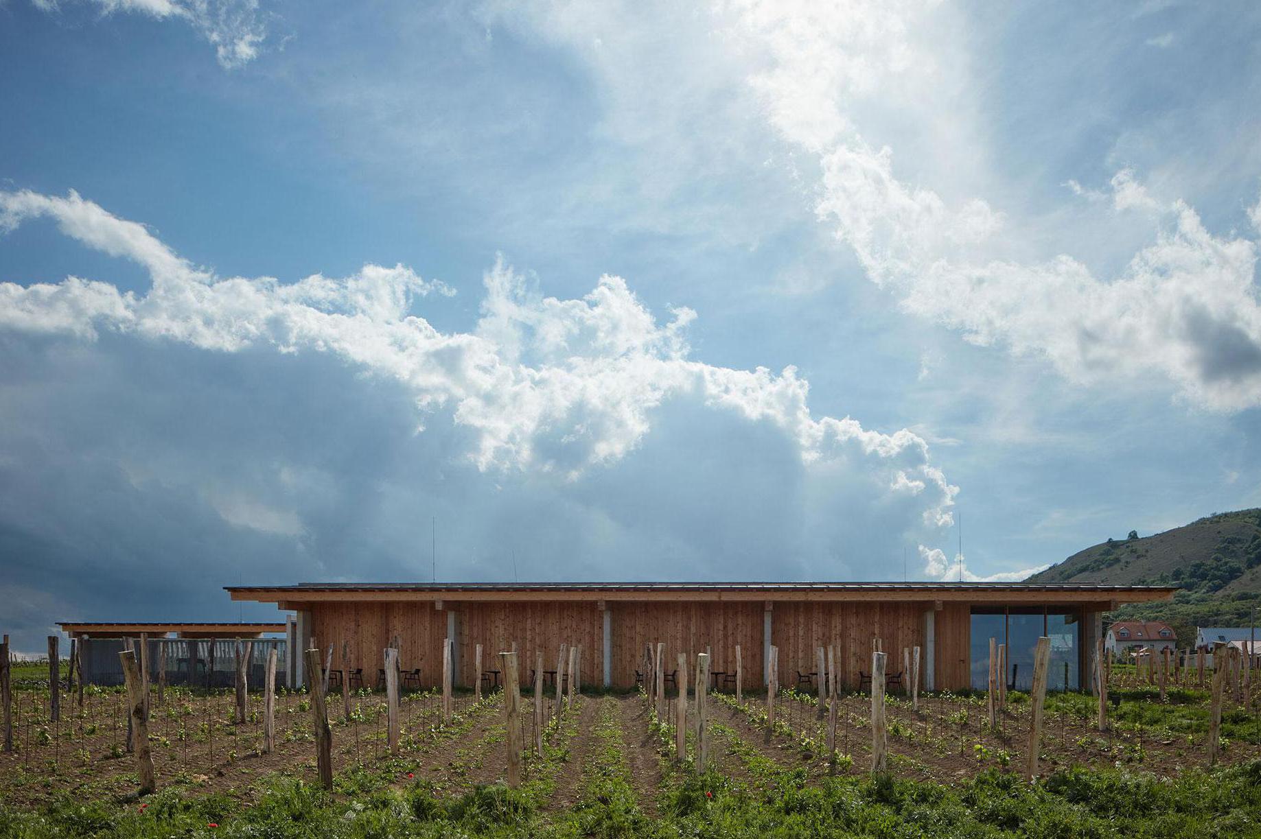 Vinařství Přátelé Pavlova