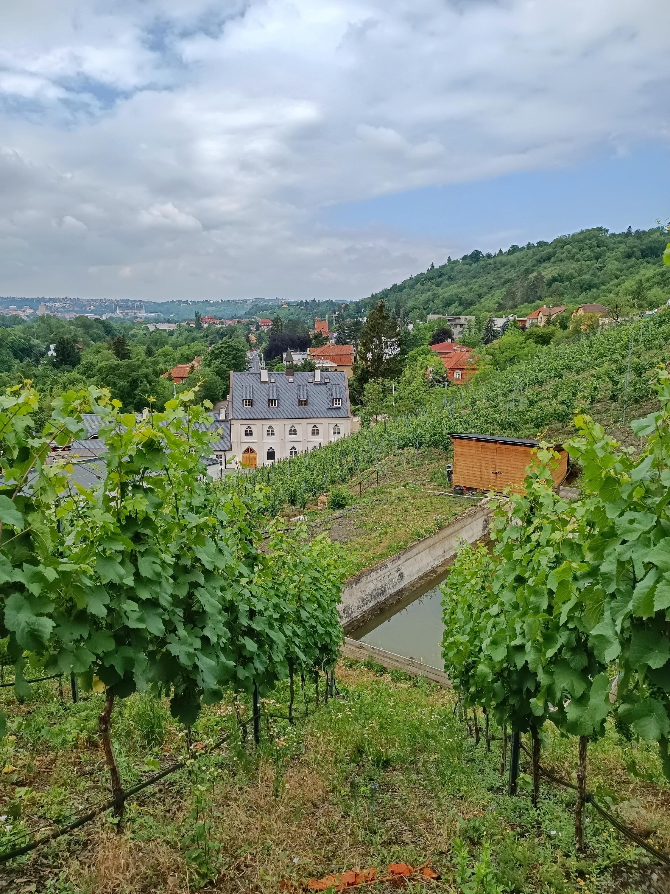 Vinařství Zilvar foto 3
