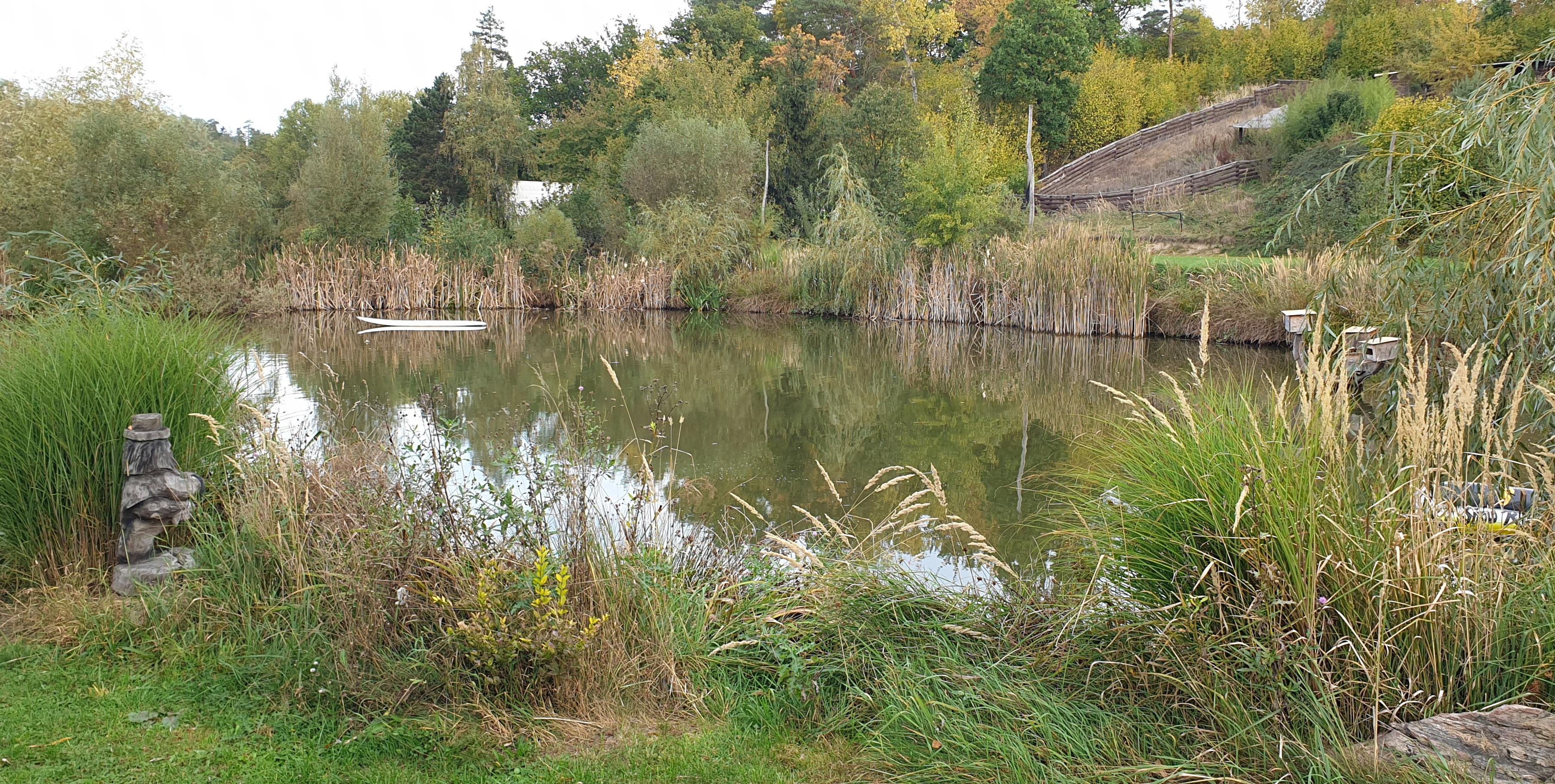 Penzion Slunečnice foto 3