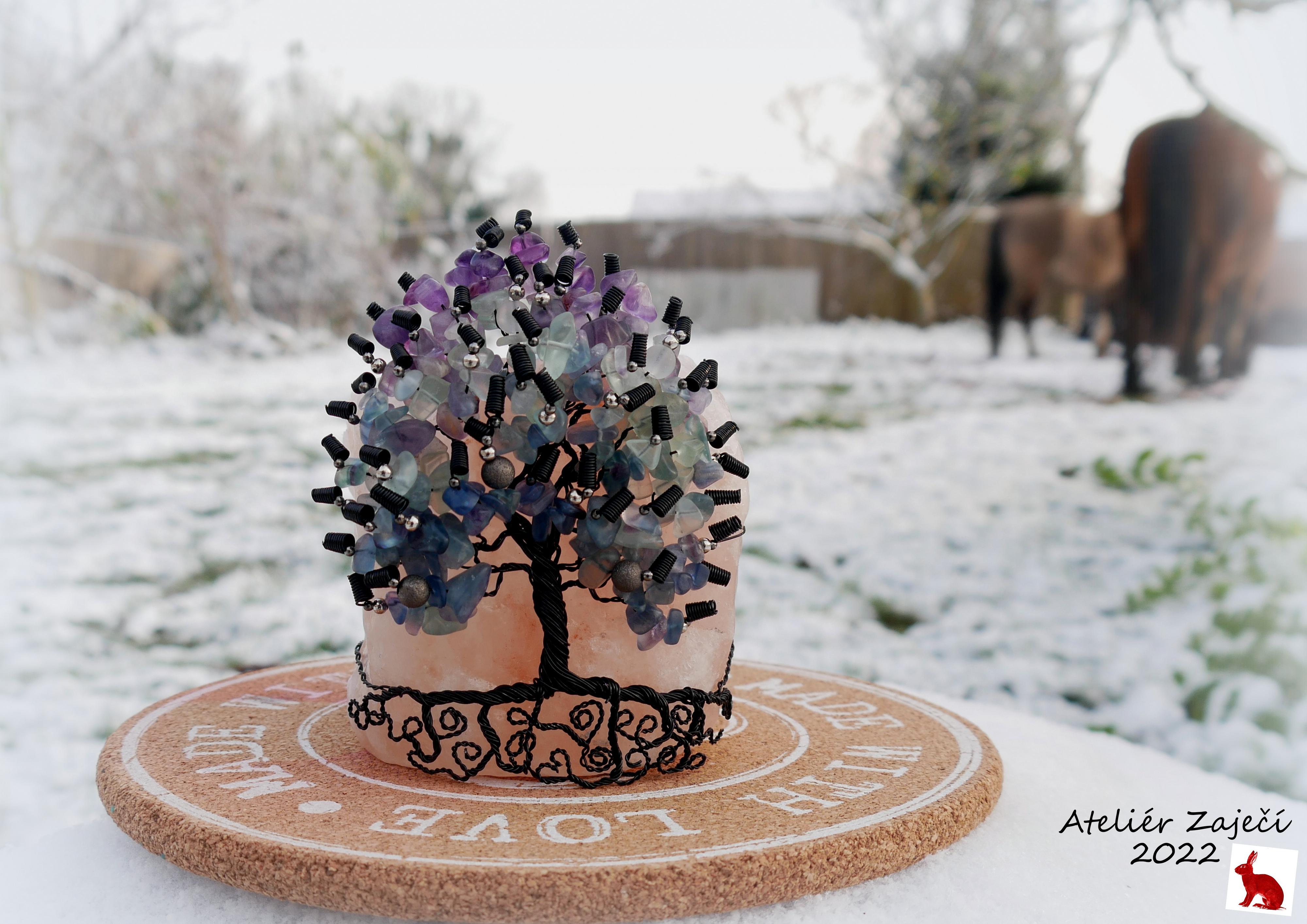 Ateliér Zaječí foto 6